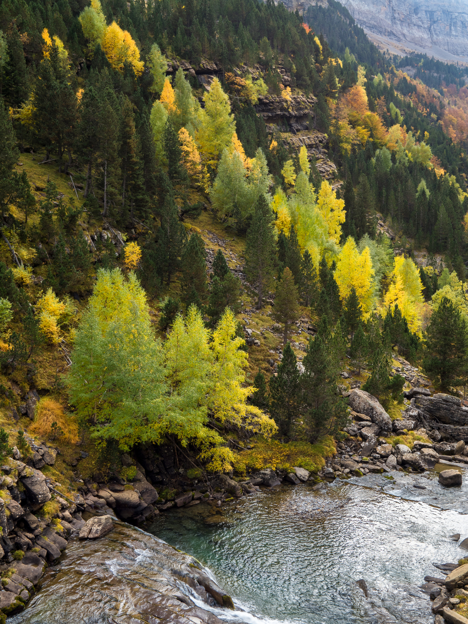 吐鲁沟,五一避暑胜地 吐鲁沟国家森林公园位于高原山脉之间,绿意盎然