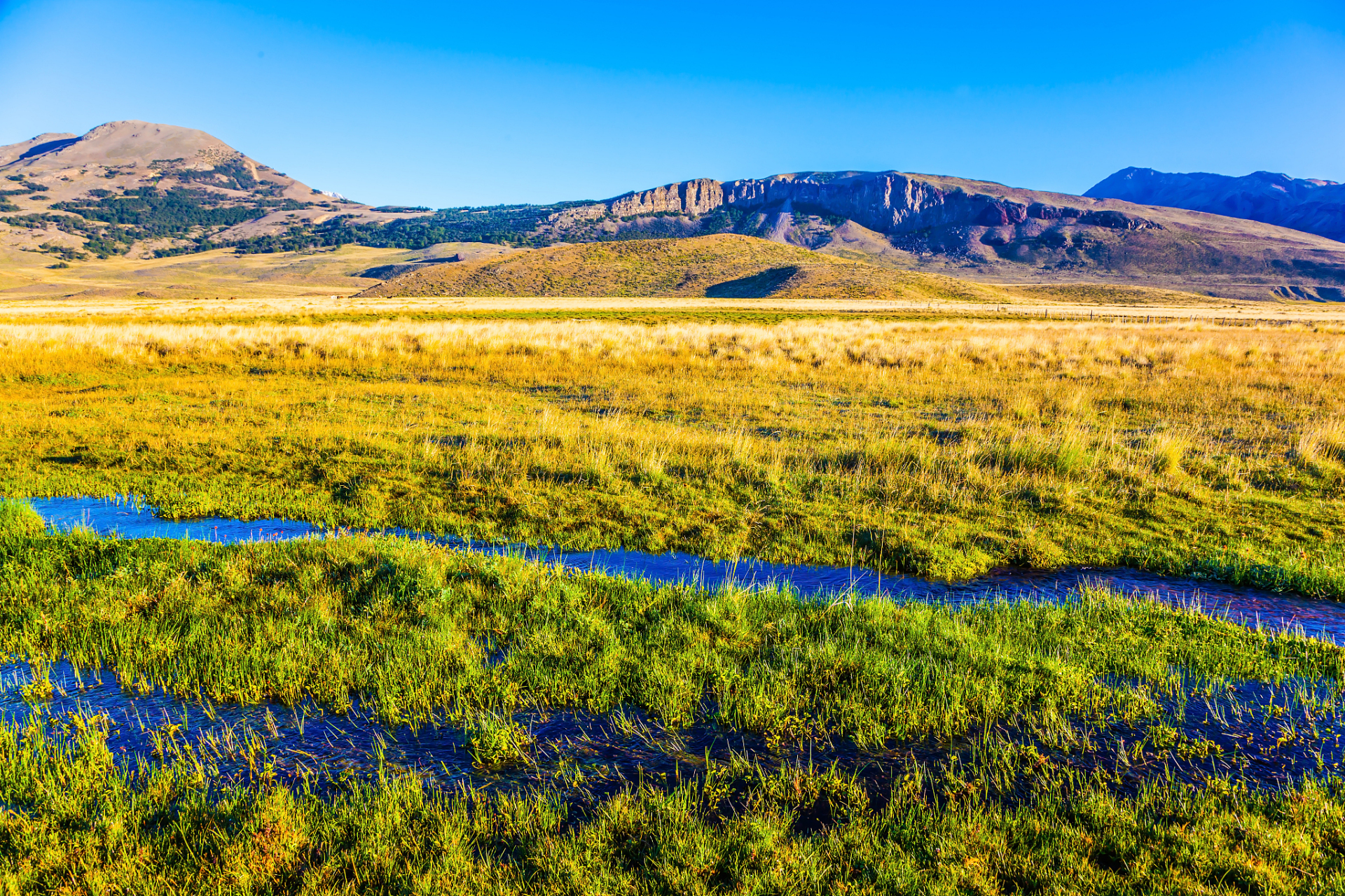 全民ai创作节# 内蒙古黄花沟,一个充满野性和浪漫的地方.