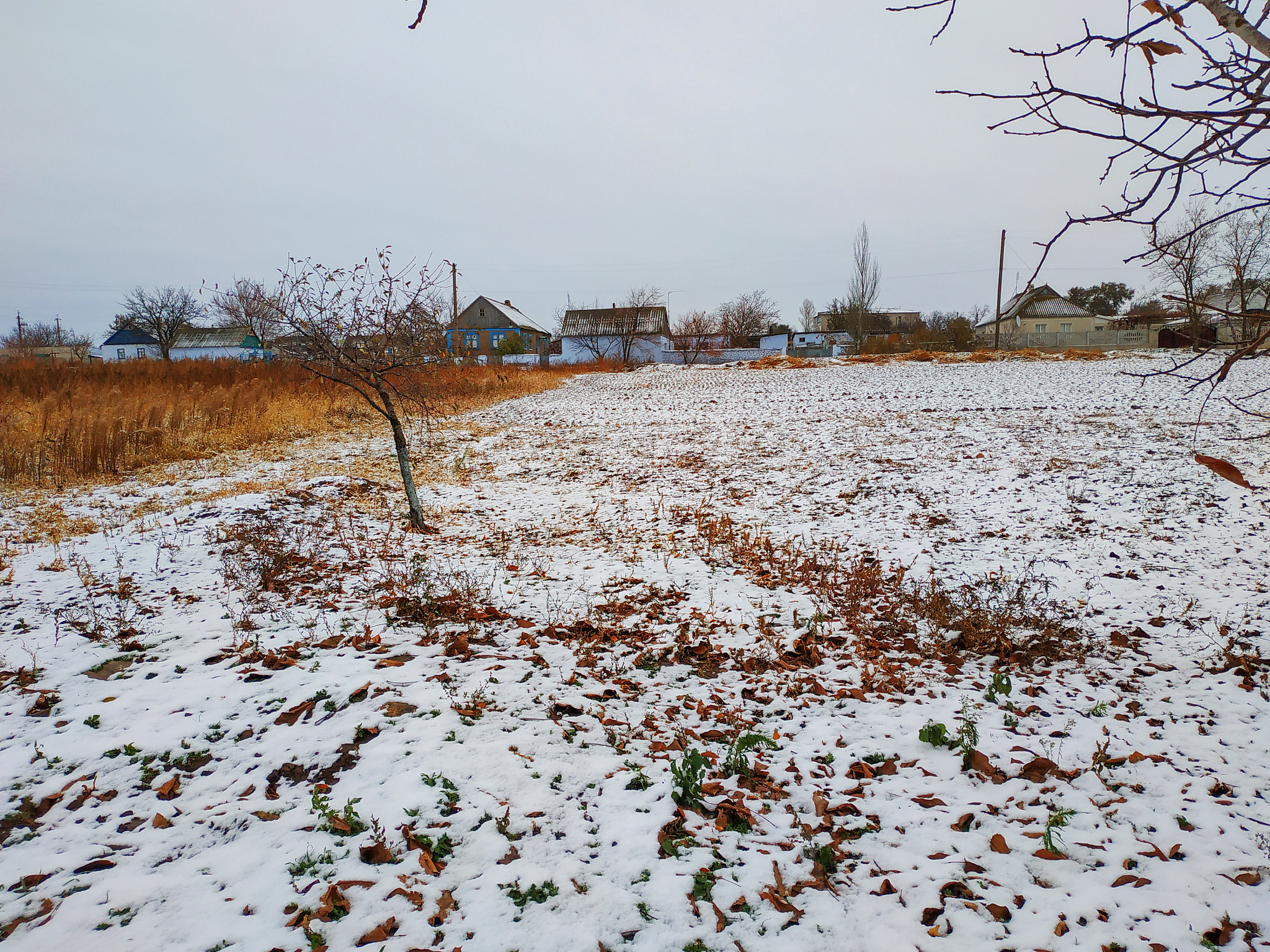 小雪节气/艾晓东. 江南夜雨地升寒,滴水成冰嘉峪关