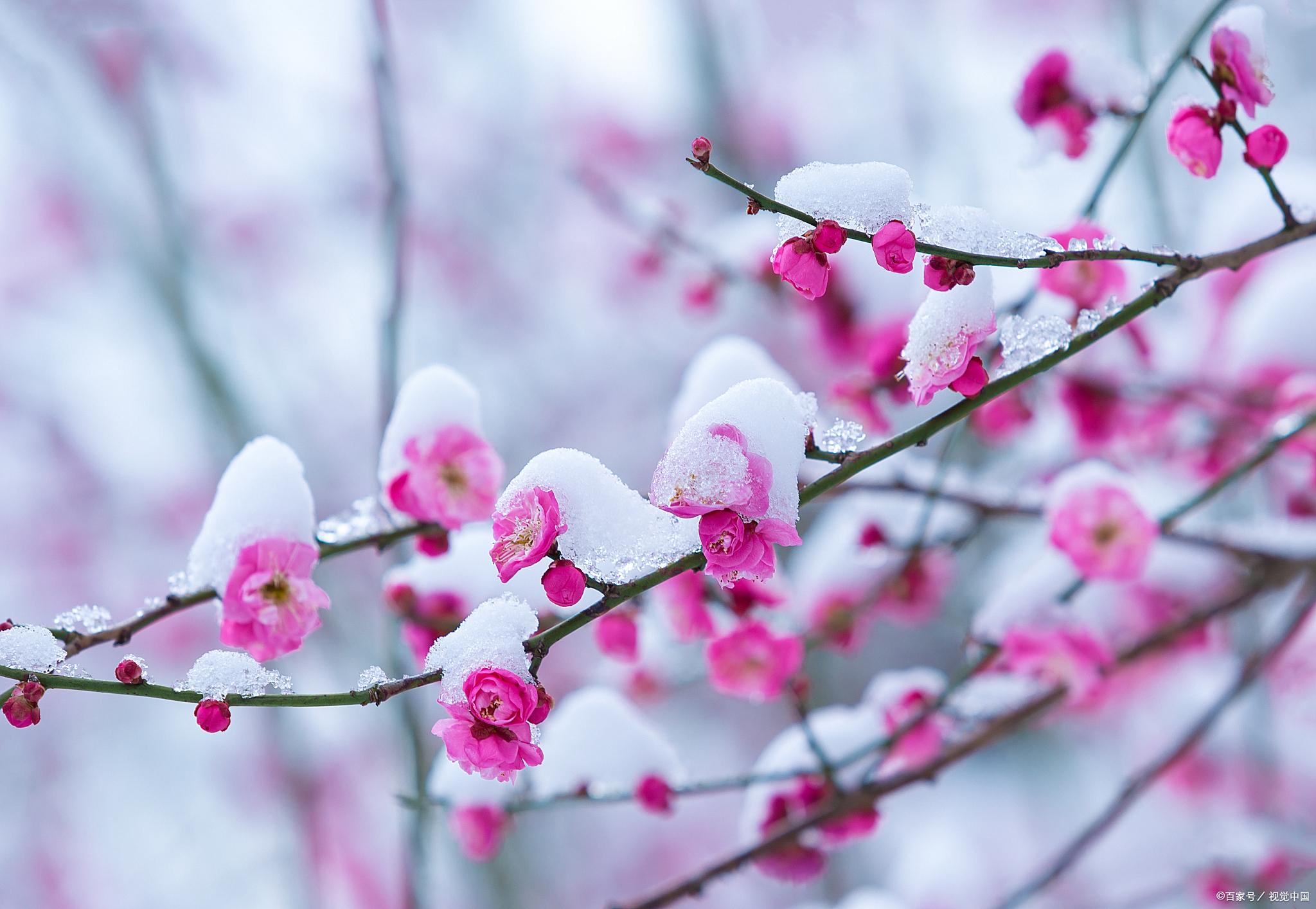 日子越简单,生活越快乐