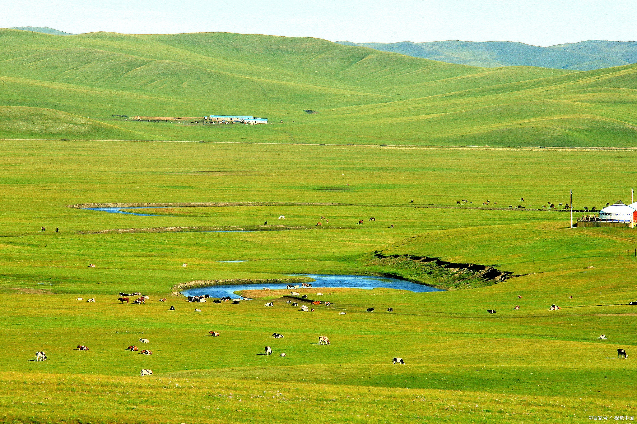 被人忽略的西北明珠——祁连山草原