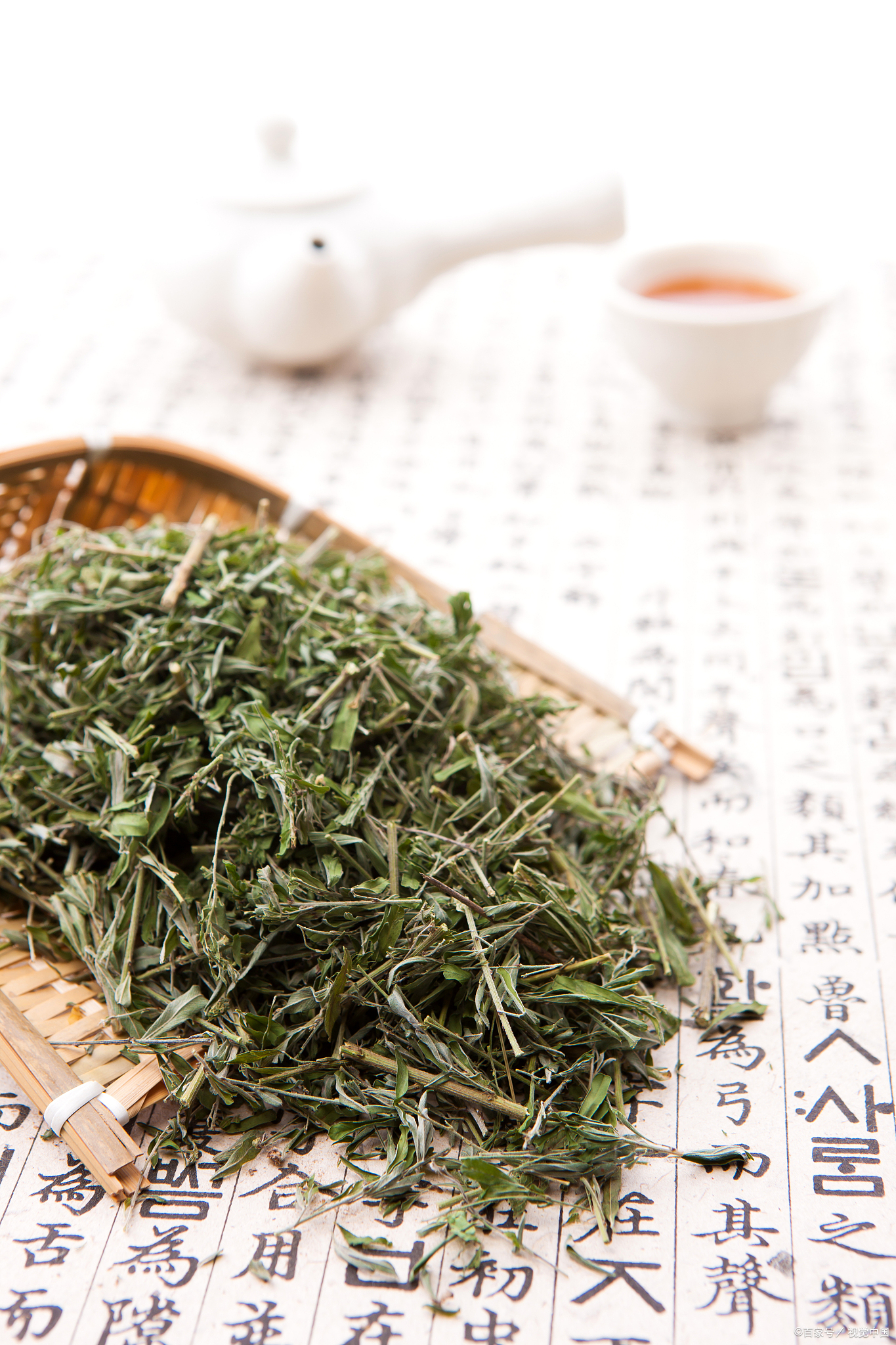 绞股蓝.