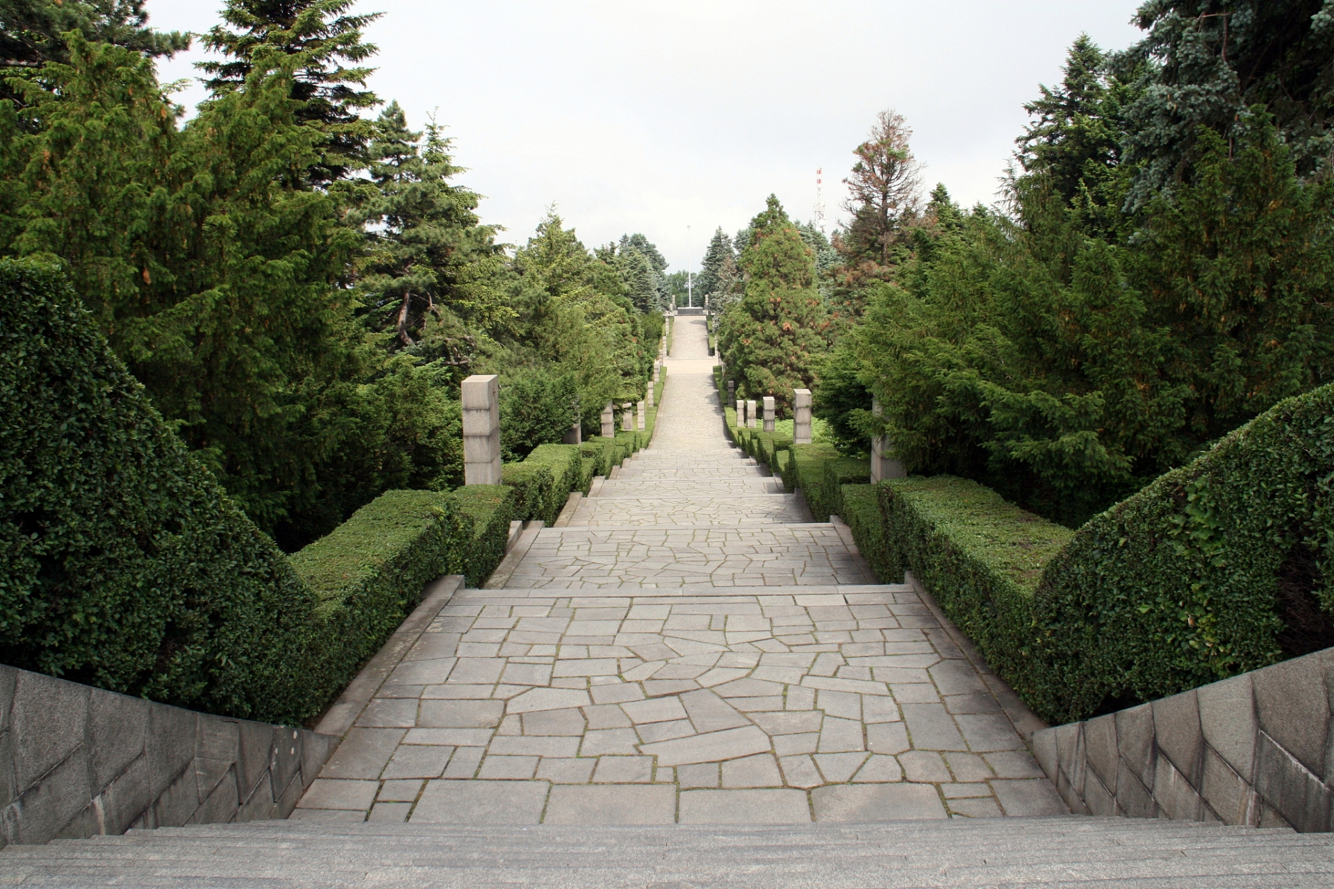 漫步金陵,感受绿意融合.陵园路,连接中山陵和明孝陵,历史与现代交汇.