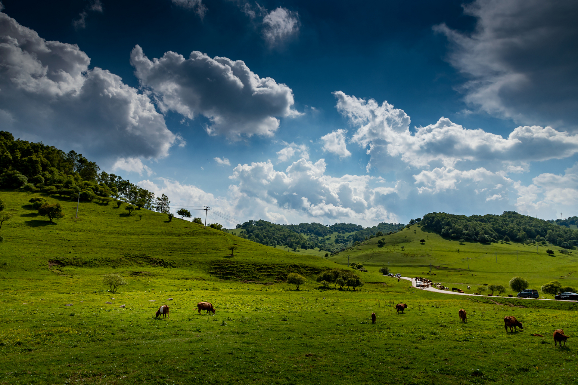 乌蒙大草原位于我国贵州省六盘水市盘县北部,是一个风光秀丽,气候宜人