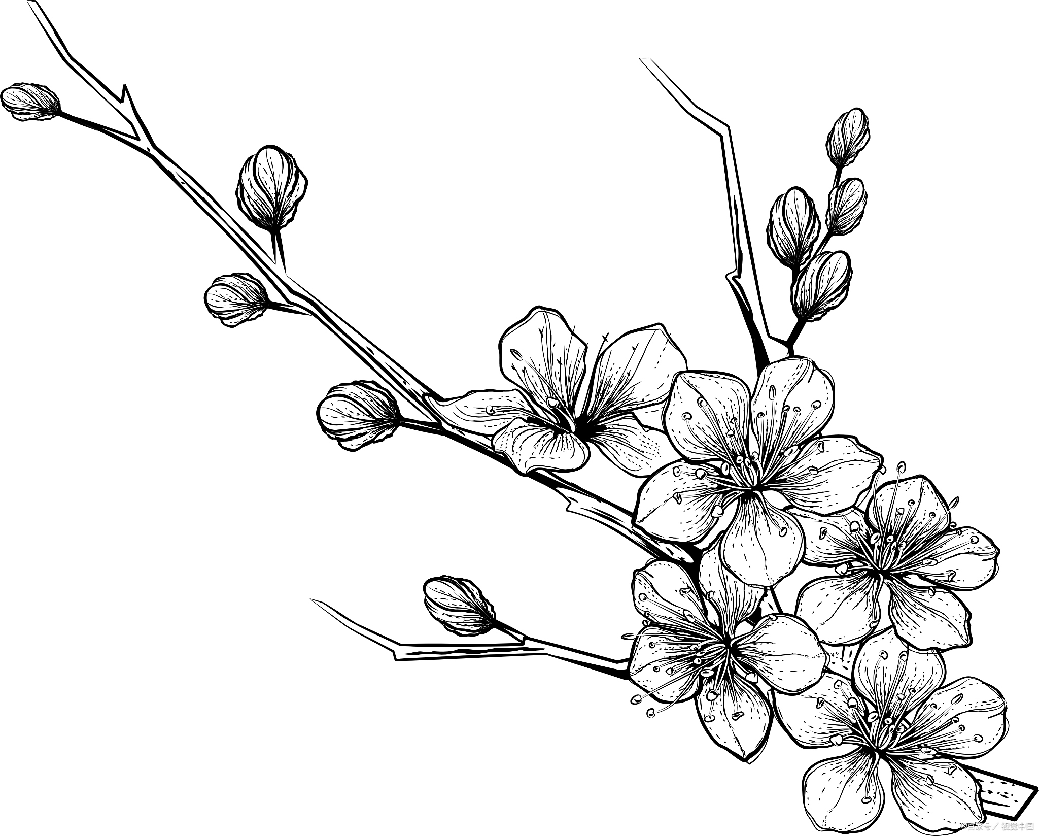 王安石《梅花》莲花:美和爱;人生美好的理想与愿意;高贵人格品质