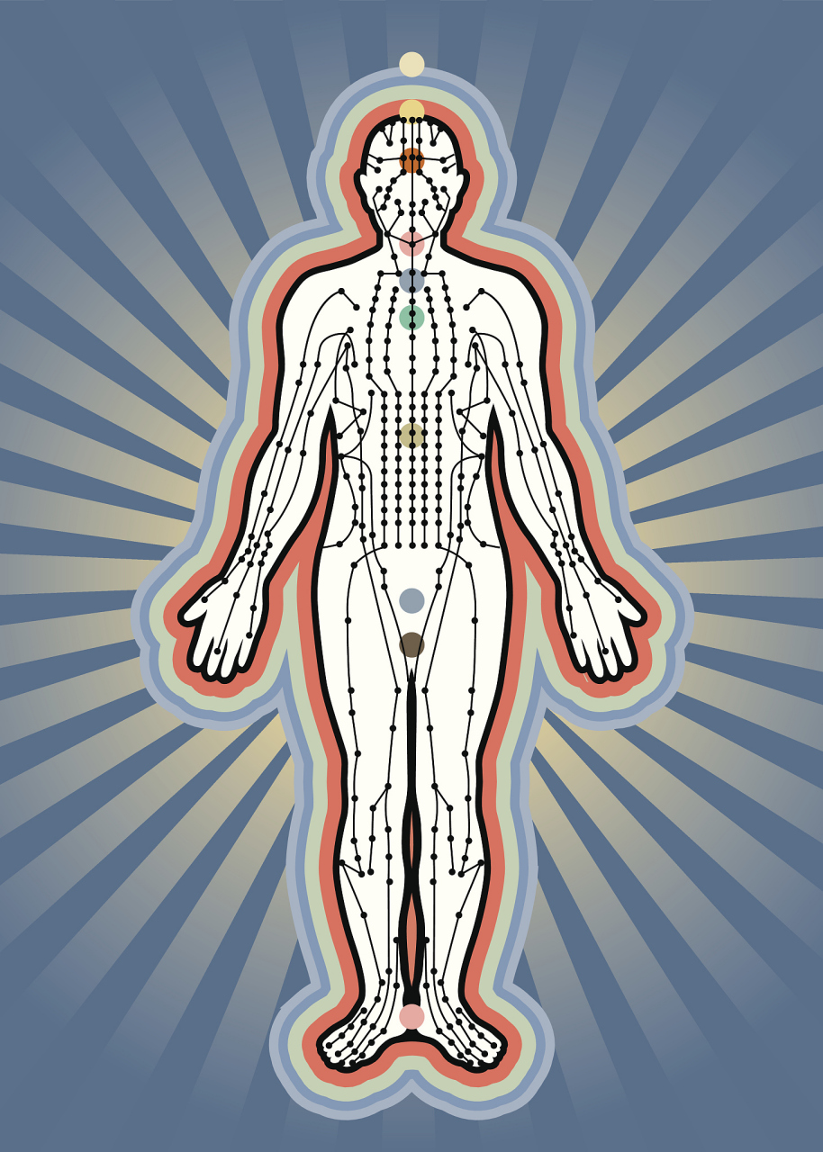 经络,主要包括十二经脉,十二经别,奇经八脉,十五络脉,十二经筋,十二