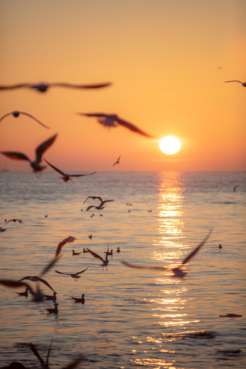 浪漫海滩落日图