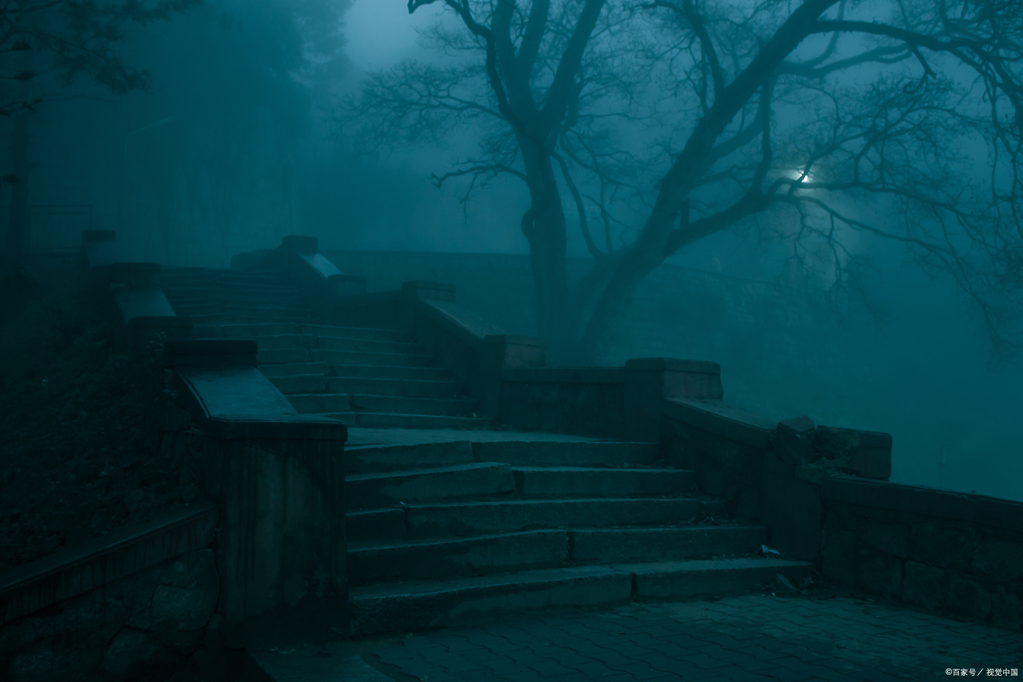 你我最终要踏上黄泉路!