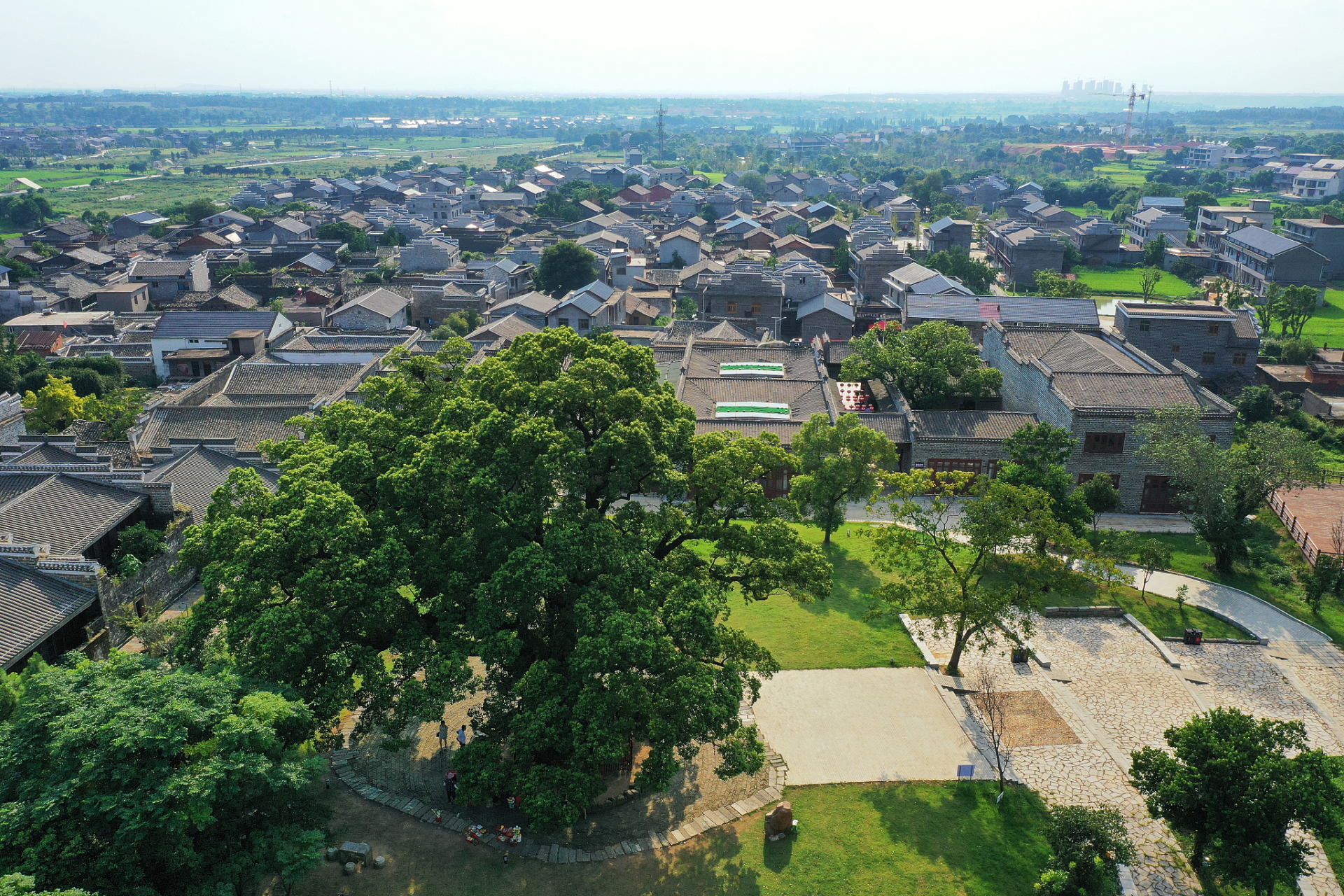 古村承千年水墨画安义# 小时候家门口前有棵大樟树,瓦屋土墙组成了最