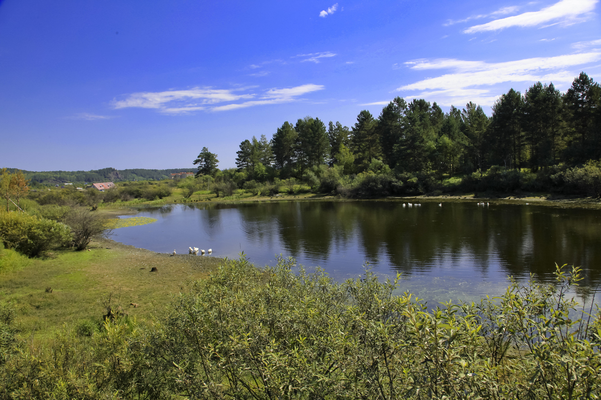 大青沟啊,它可是一道瑰丽的自然景观,位于通辽市科尔沁区科尔沁草原的