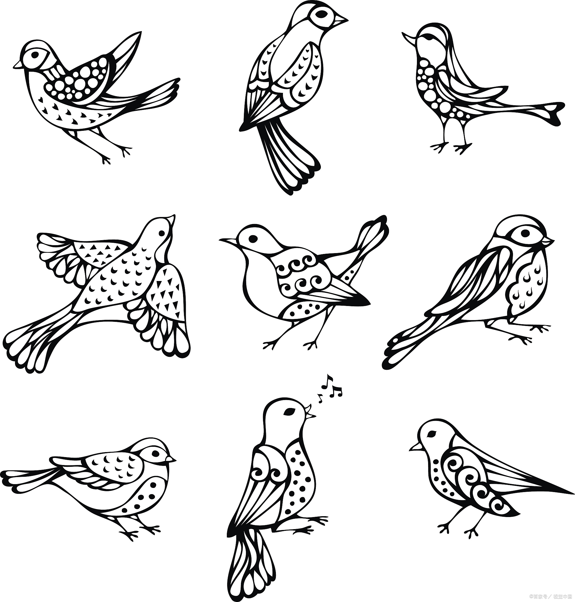 画百灵鸟可以按照以下步骤: