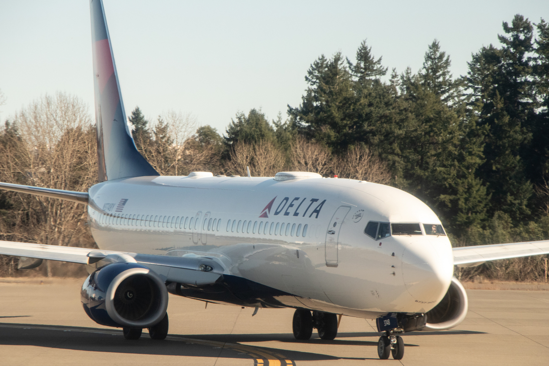 全球航空市场的重要角色就是这两位啦.[原文:波音737和738