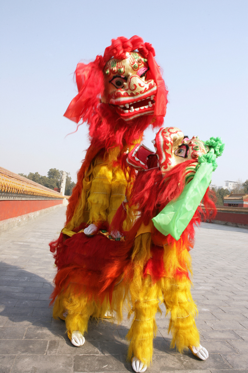 舞狮作为中华传统文化瑰宝,起源多元,寓意美好.