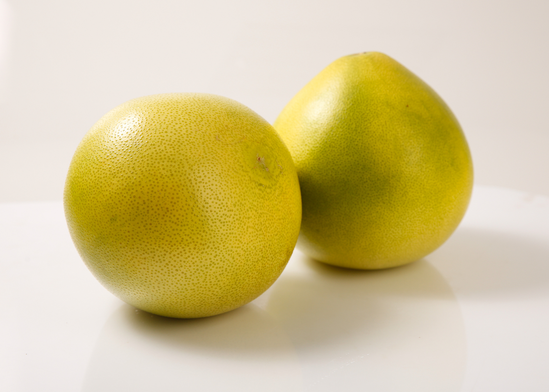 柚子是芸香科柑橘属的乔木植物,叶质颇厚,色浓绿,阔卵形或椭圆形;总状