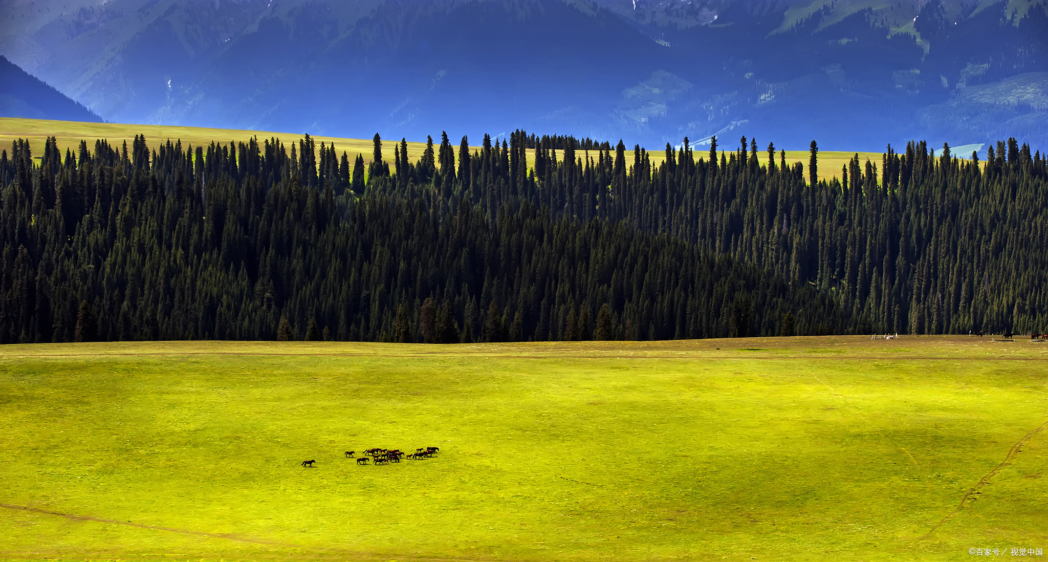 喀拉峻景区简介,感受高山草甸之美,体验与世无争的宁静祥和!
