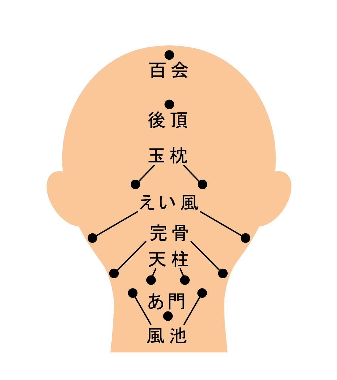 头部的经络图解图片