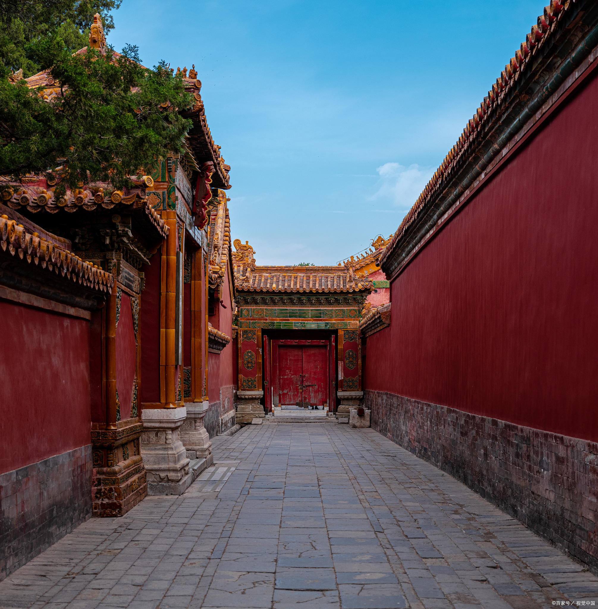 嘿小伙伴们,你们知道吗?