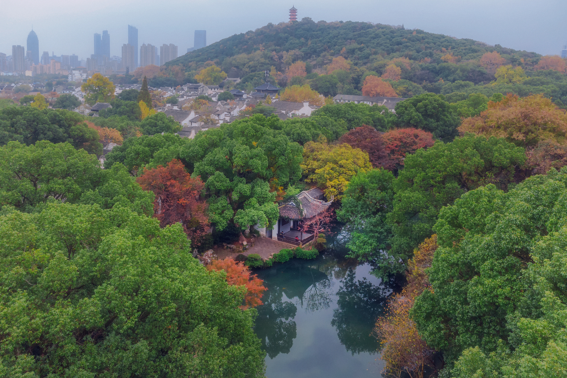 岳麓山夏天图片图片