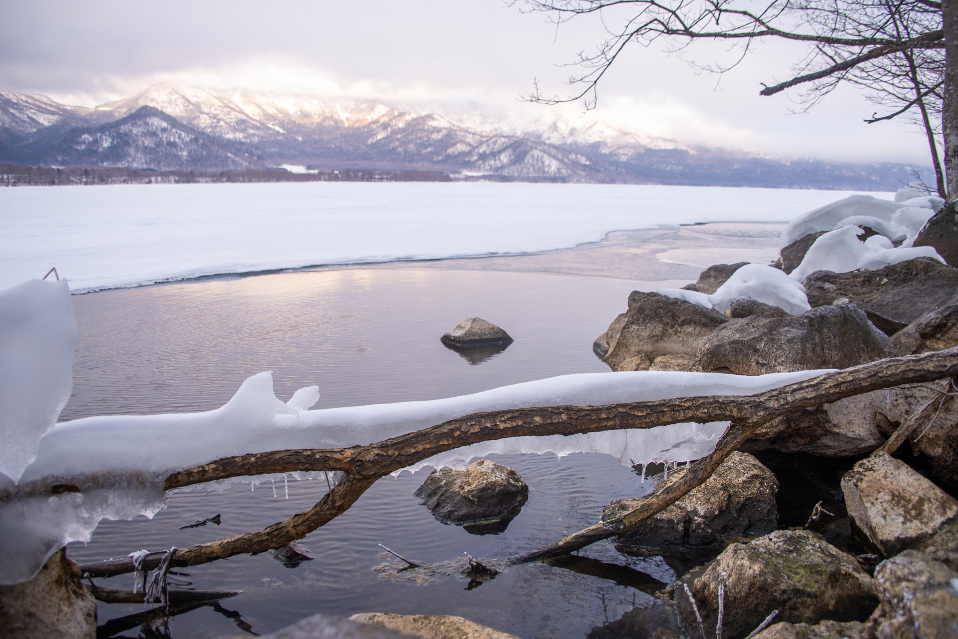 那些冬天才有的美景#  那些冬天才有的美景之8:冬日的喀纳斯湖适 