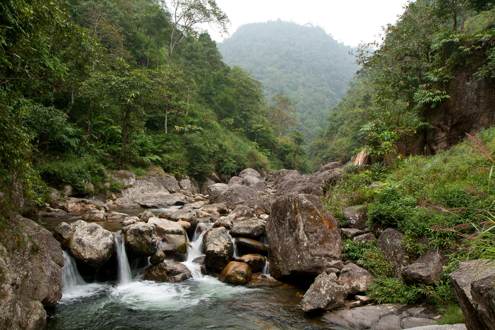 防城港上思县十万大山图片