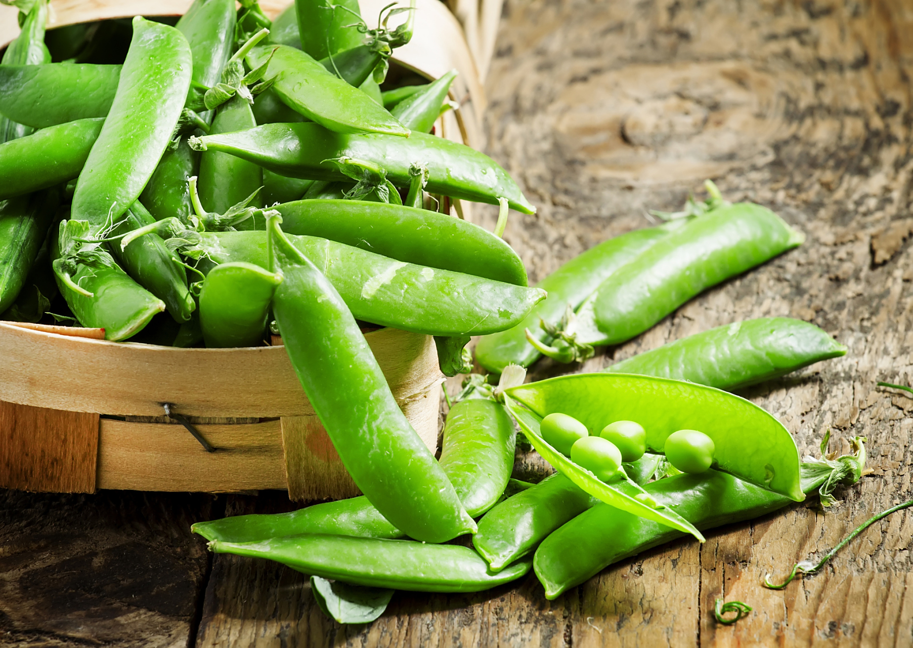 扁豆种植方法与注意事项  扁豆是一种营养丰富的蔬菜,种植扁豆并不难