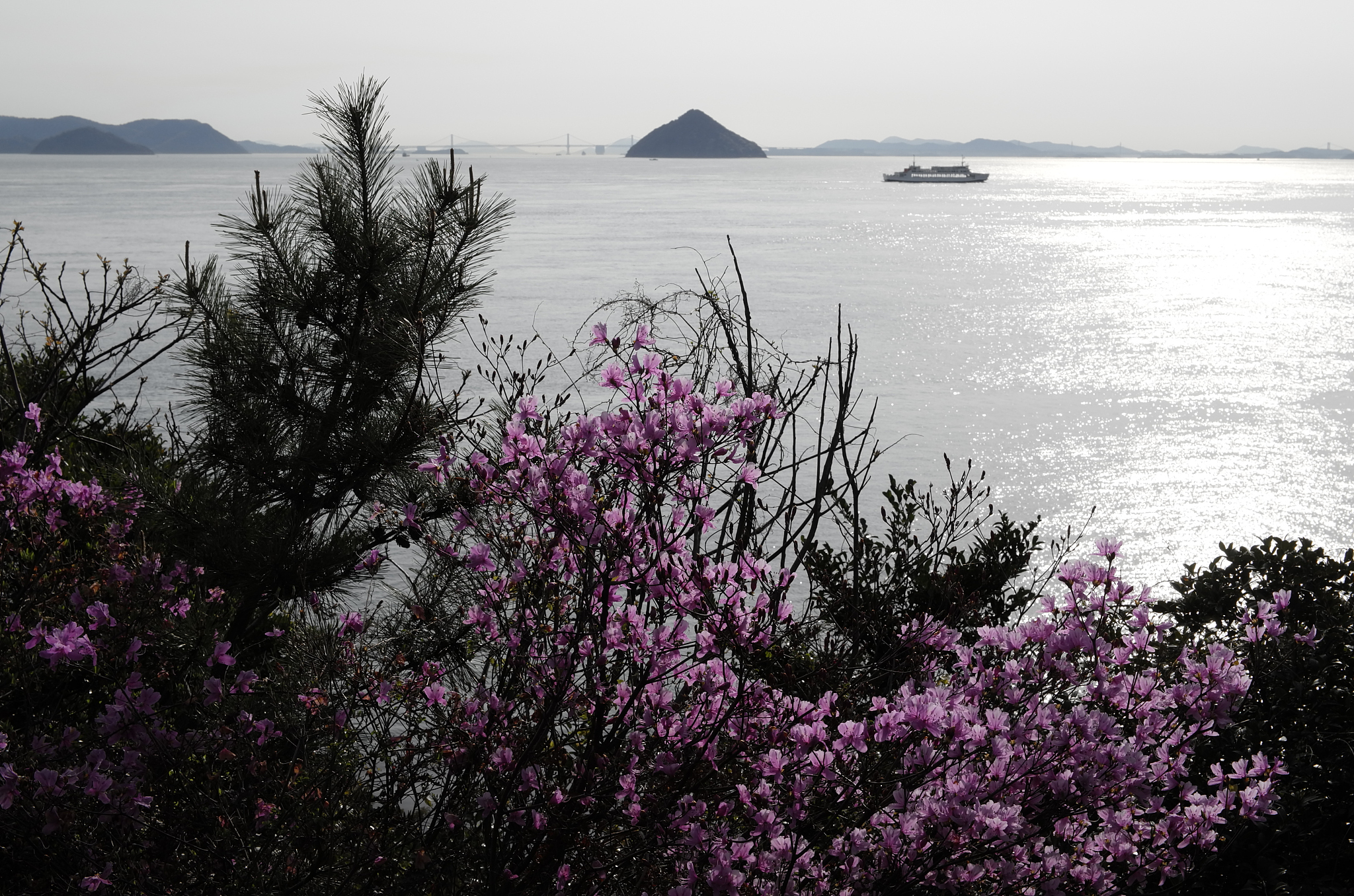 海南儋州桃花岛图片图片