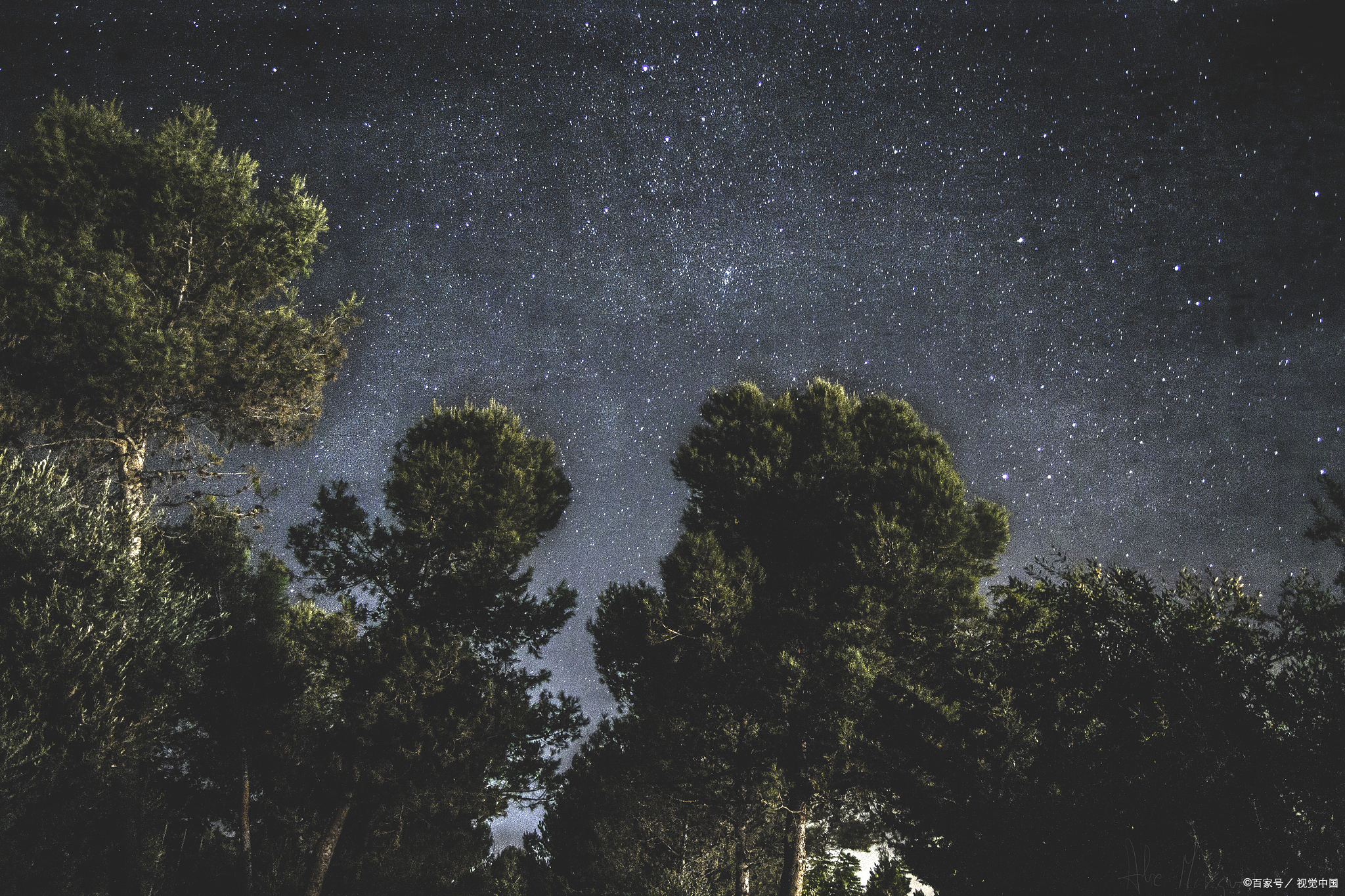 暑假作文,《夏夜的星空》写作指导,范文示例