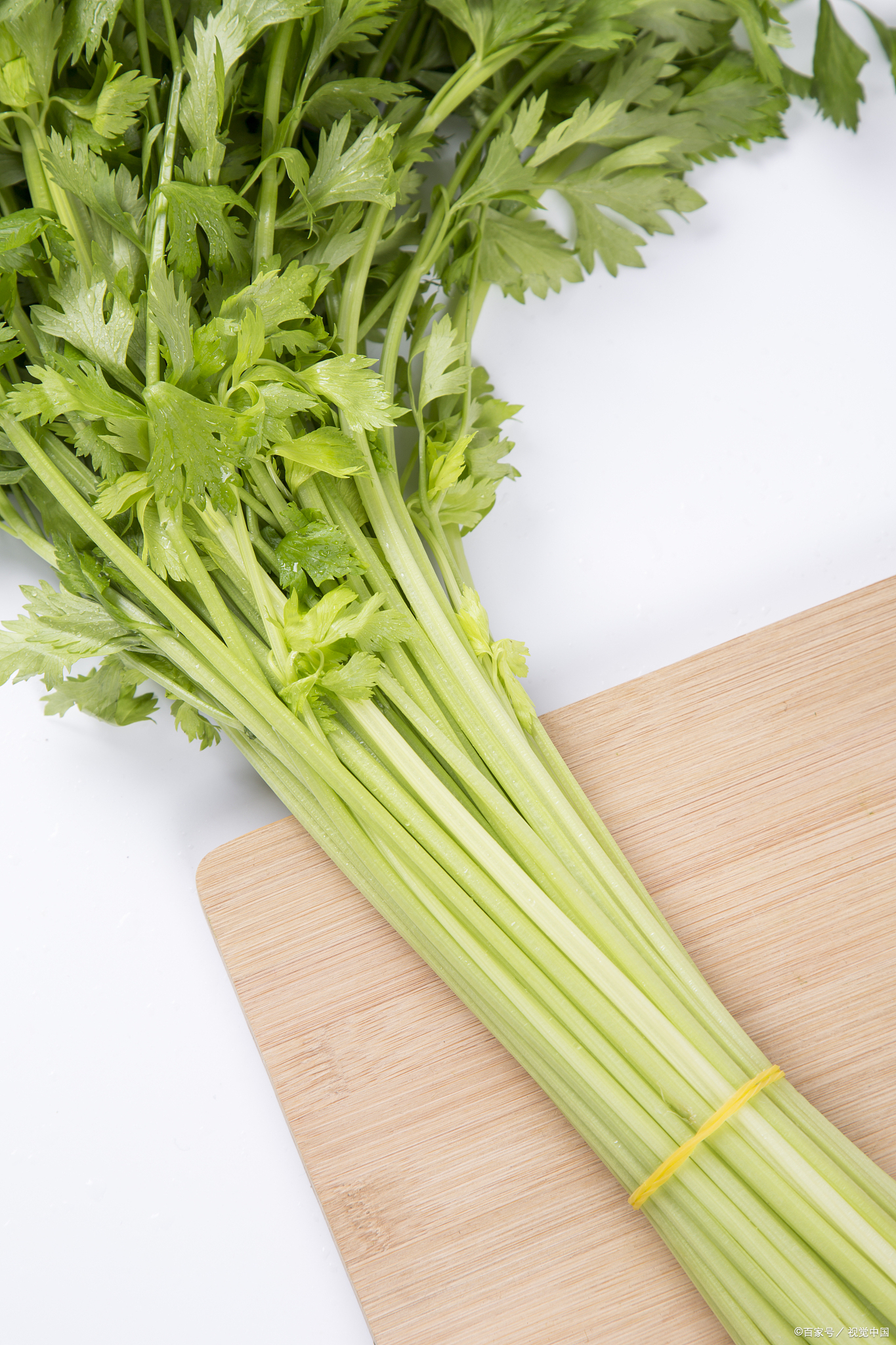 冬天来临,寒风刺骨,我们的身体也像大地一样需要温暖的呵护