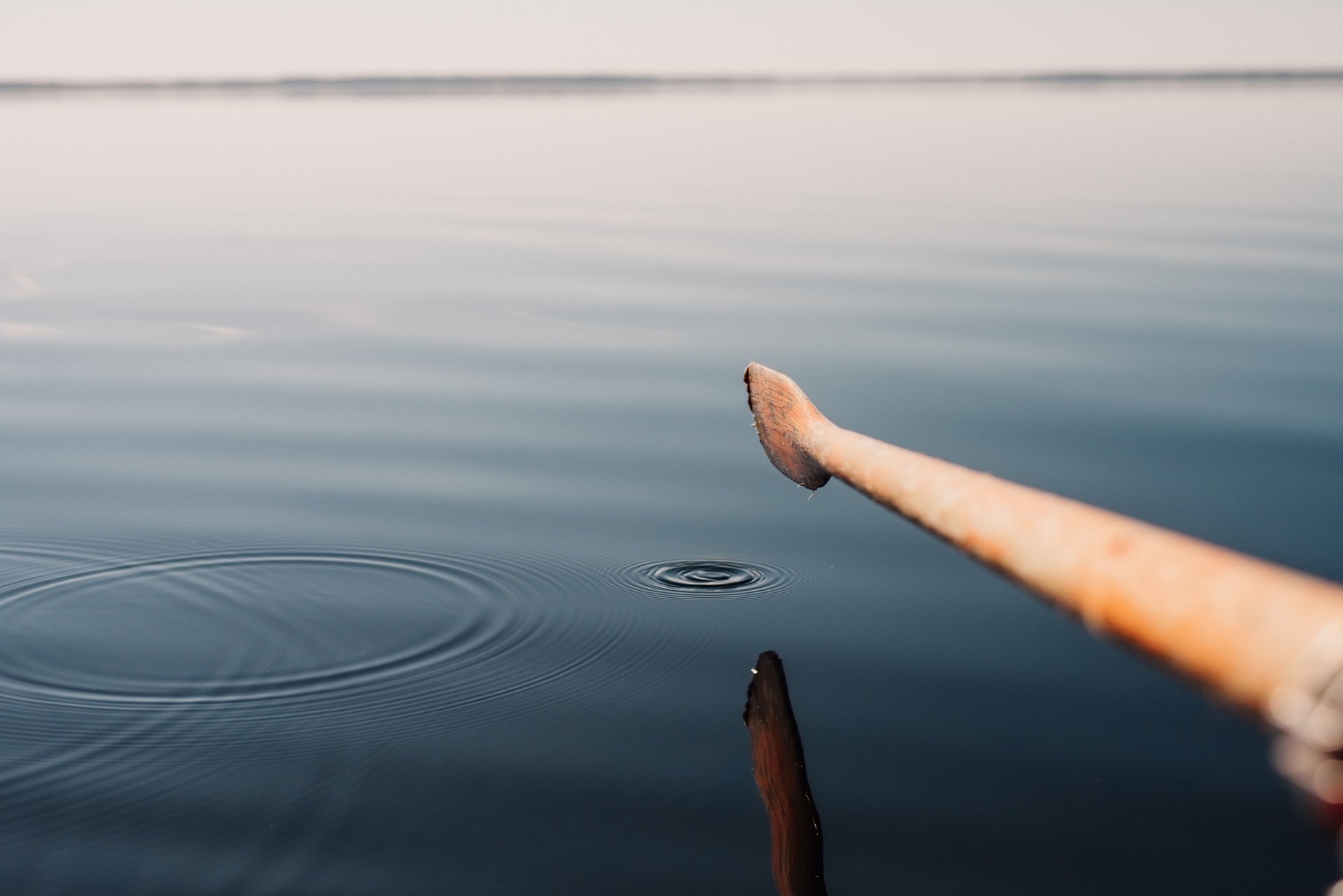 [围观]生活的本质不是金钱和物质,而是内心的平静自在和平淡如水