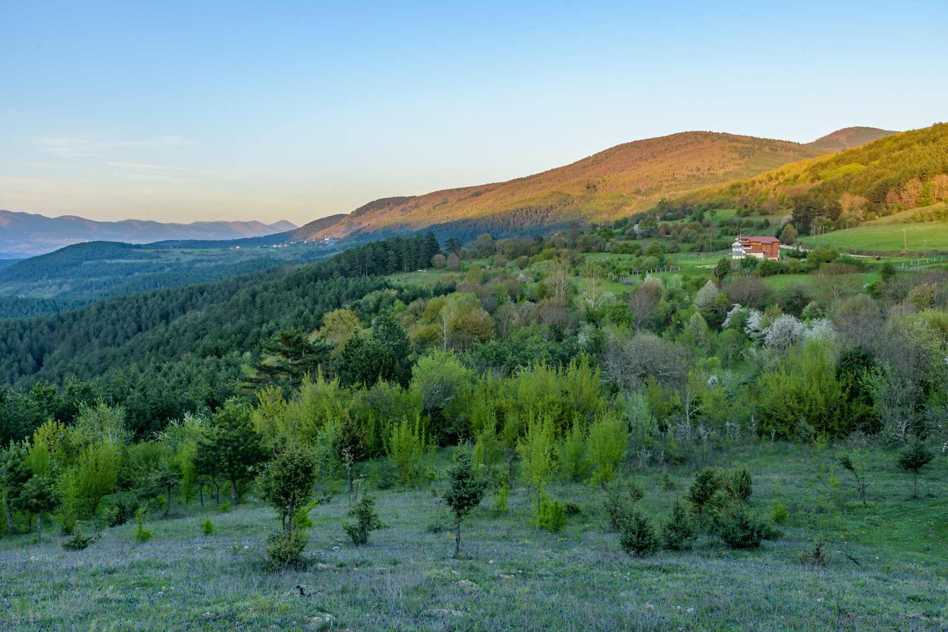 黑龙江方正国有重点林区南部的石河与红旗两林场,藏着一片神秘而美丽