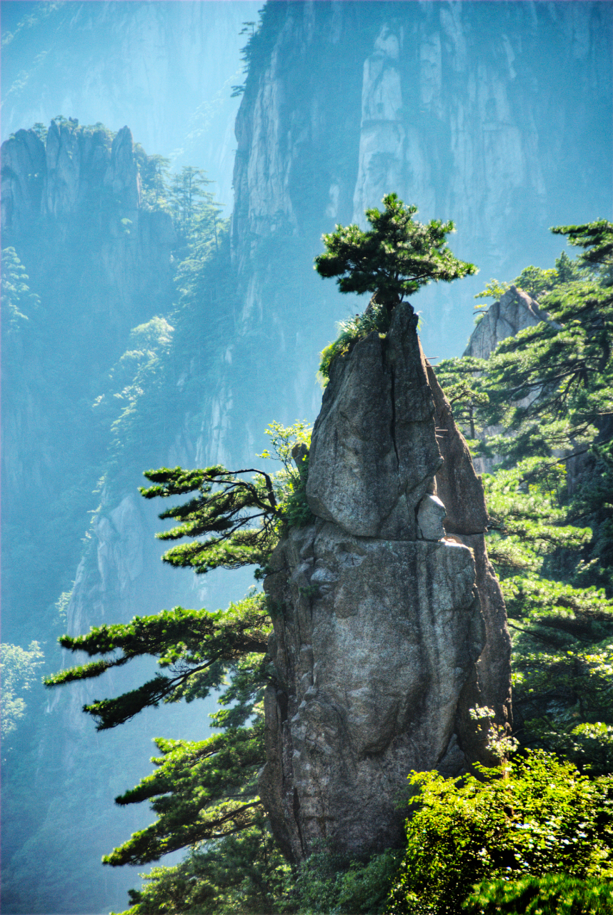 黄山梦笔生花原树图图片