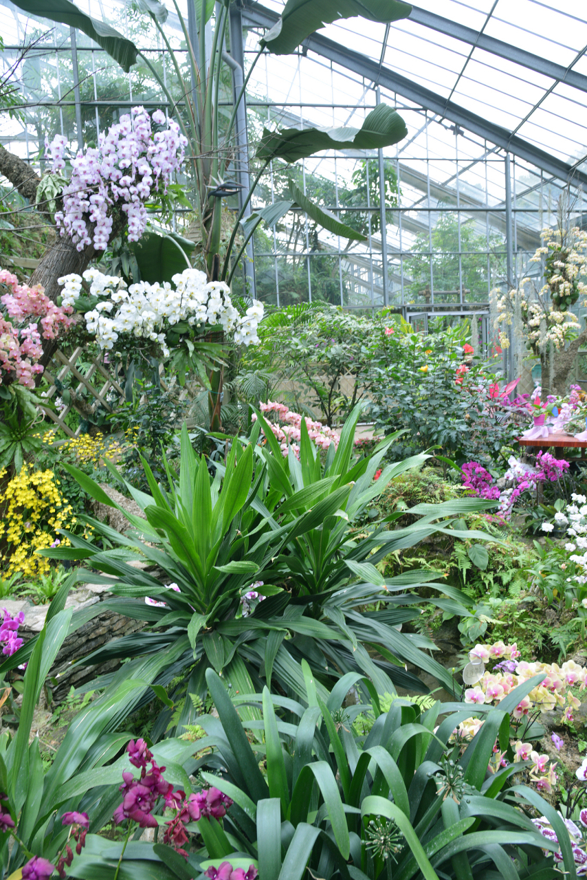 兰花世界,全球最大的热带兰花主题公园!