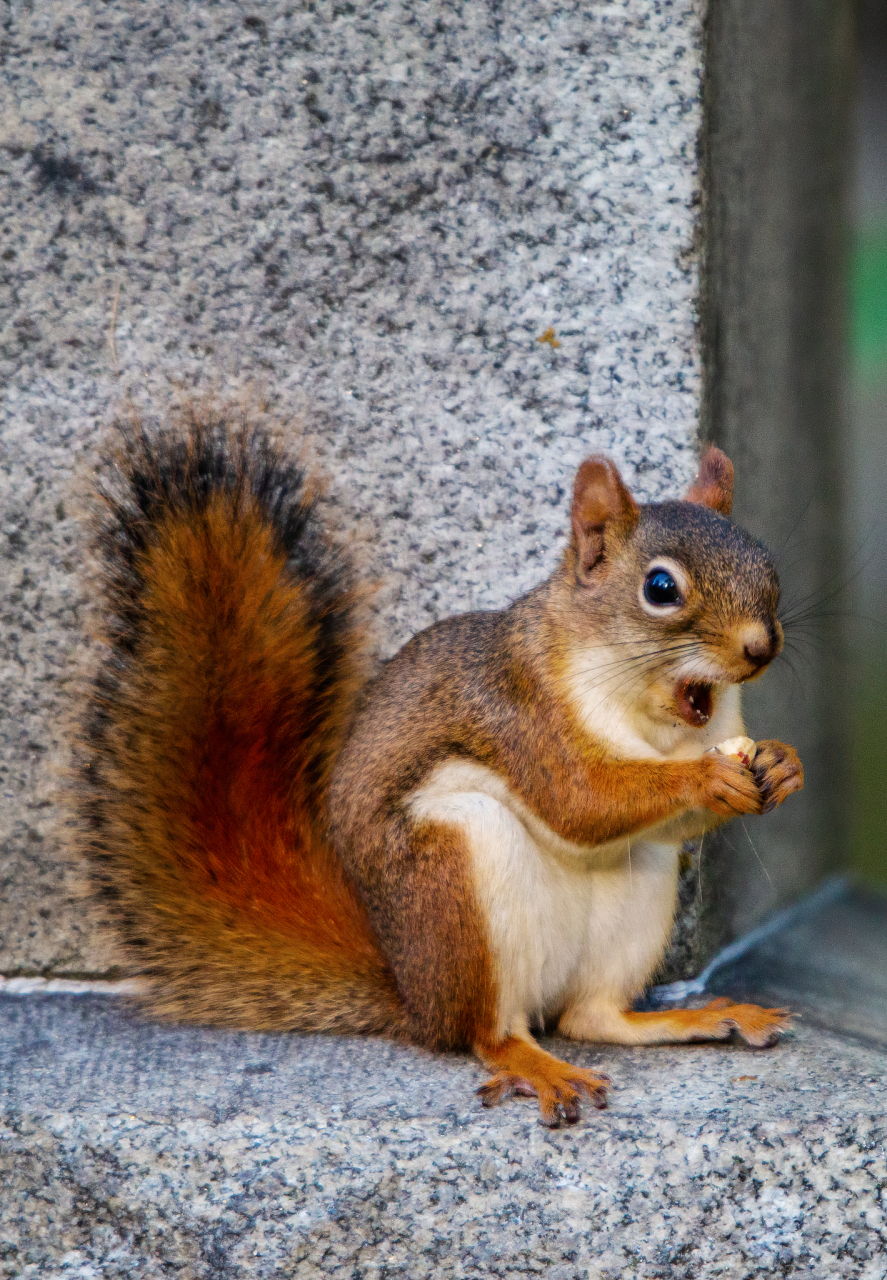 让我们通过一个看似简单的图片选择,来预测你跳槽后的工资涨幅!