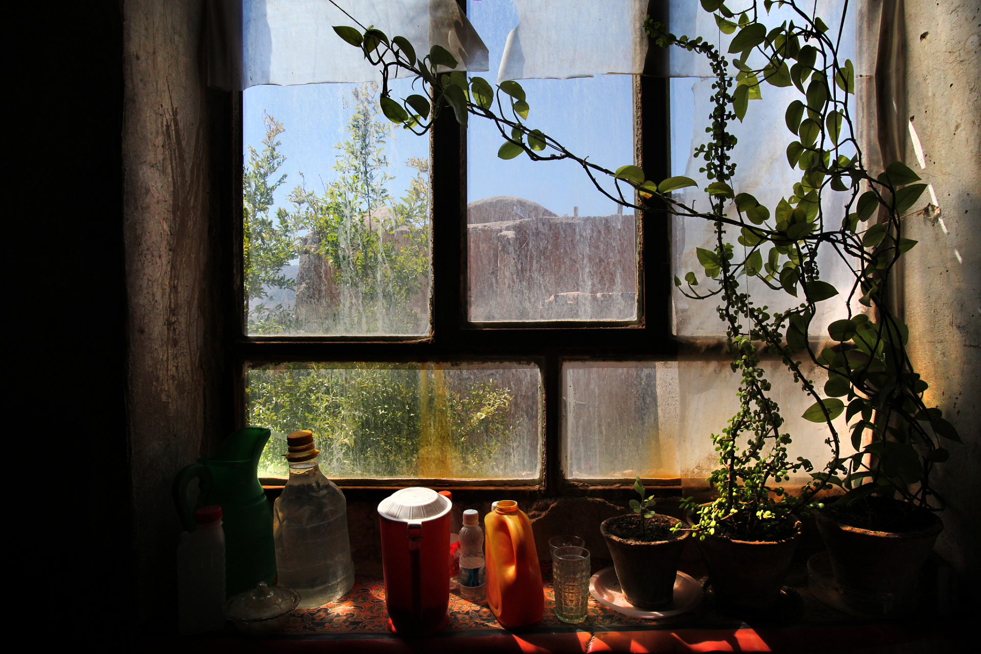 生活中该有的样子?