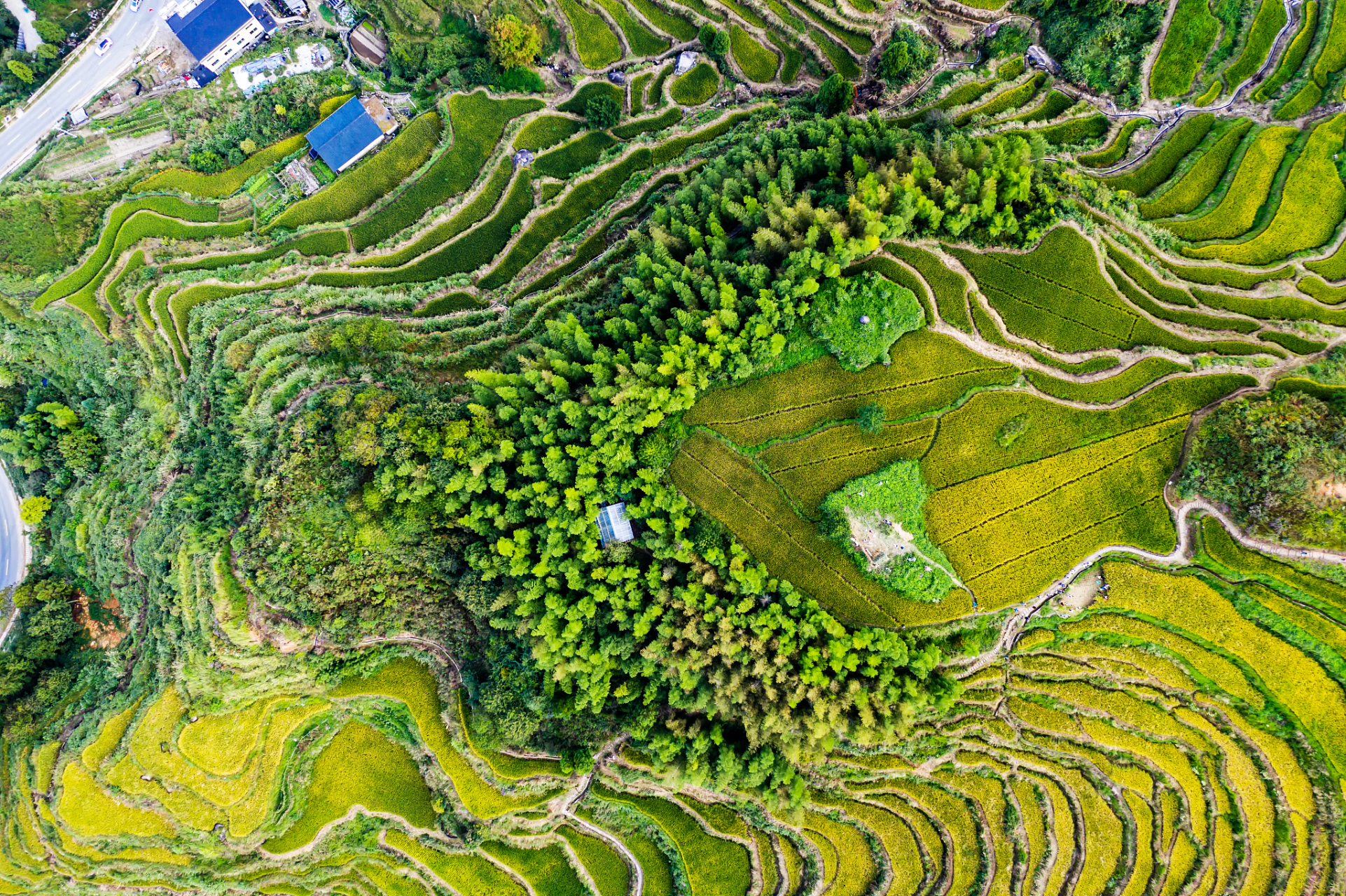 云和梯田景区旅游攻略  云和梯田景区,位于浙江省丽水市云和县,是华东
