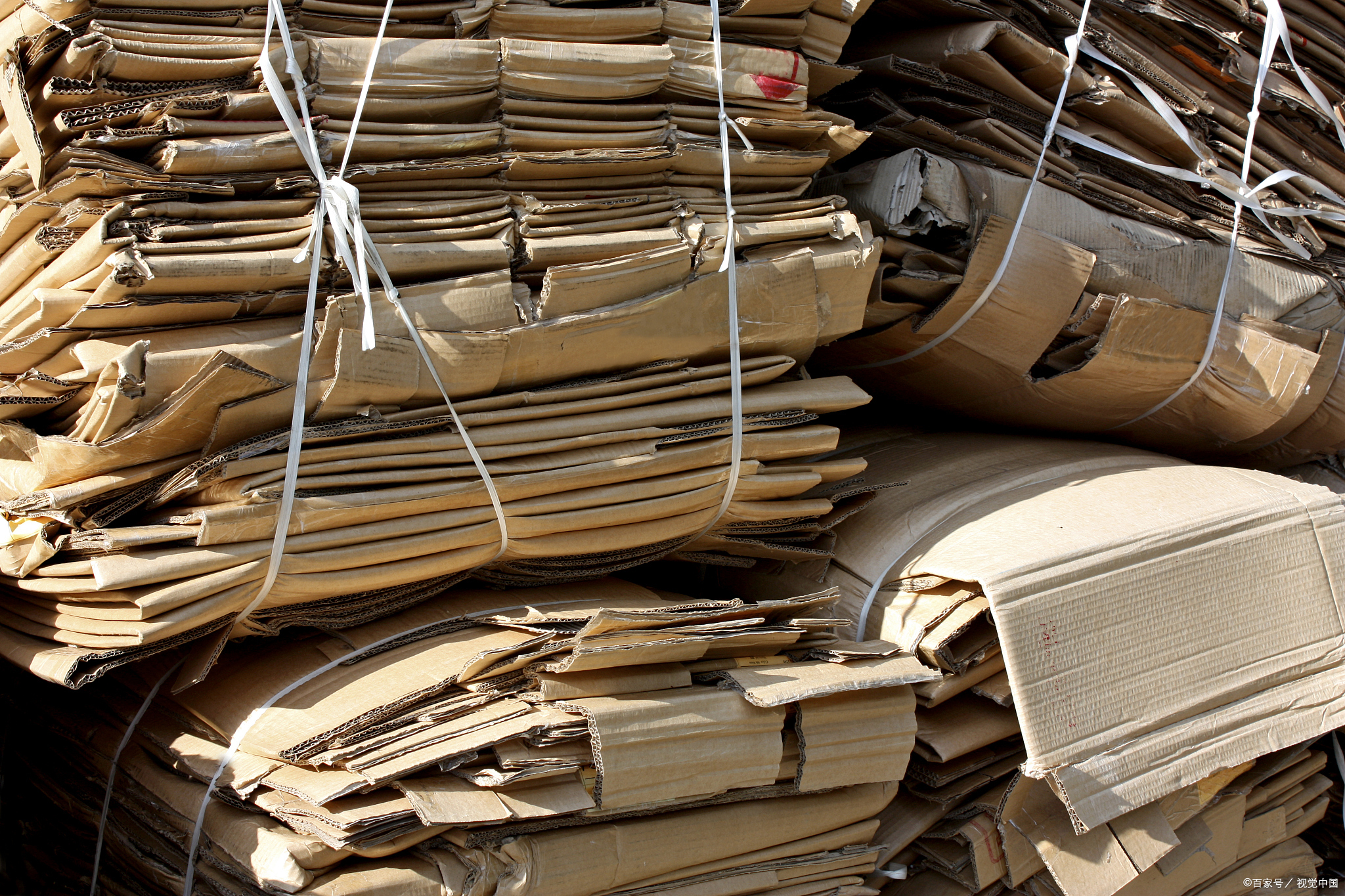 捡废纸箱老太太的哭诉,是谁偷了我的纸箱,你们怎么能这么欺负我