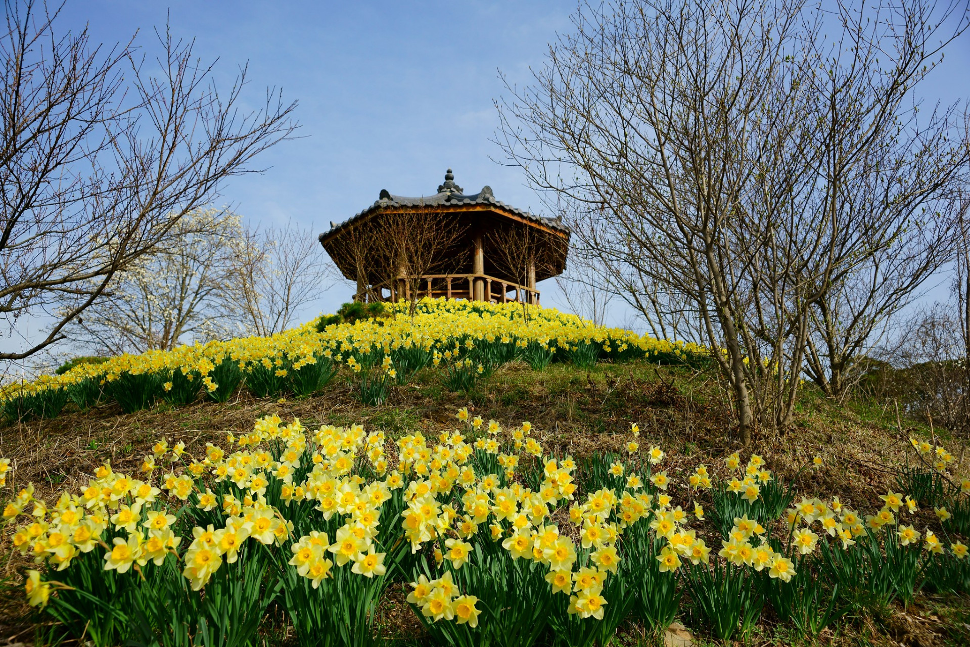 秋天,三圣乡有许多值得一游的景点.