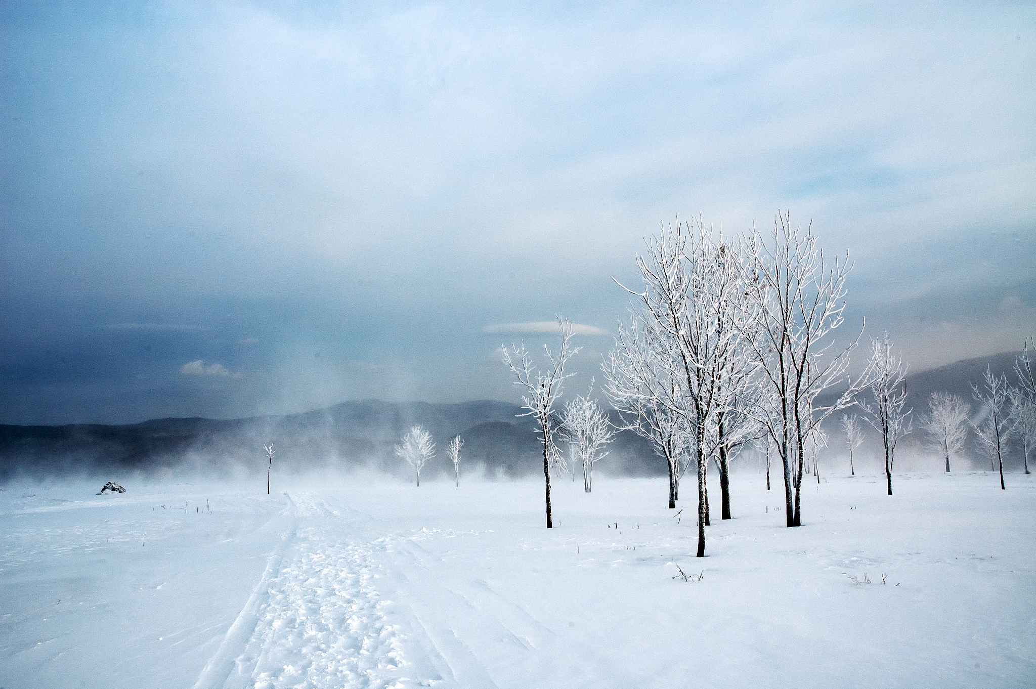 图片美丽漂亮的雪天大雪纷飞图片唯美北风呼啸搞笑图片大全北风呼啸