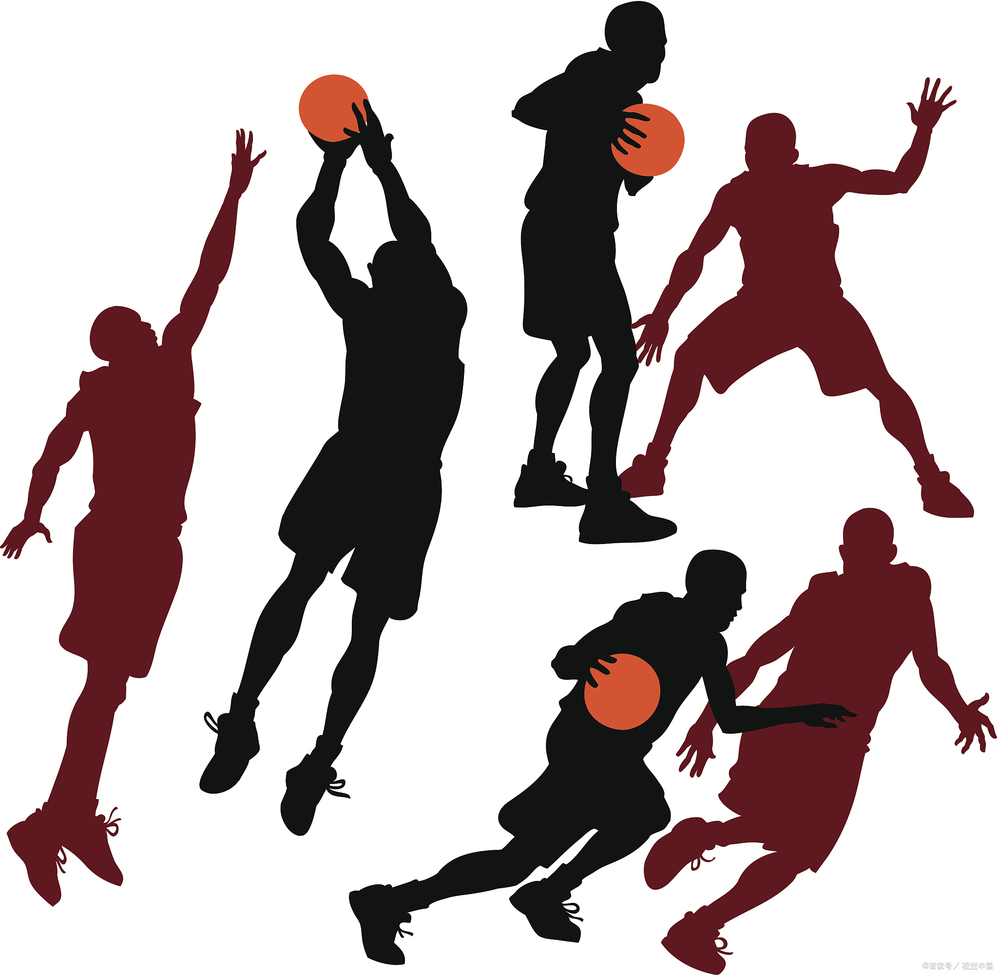 打篮球分几个位