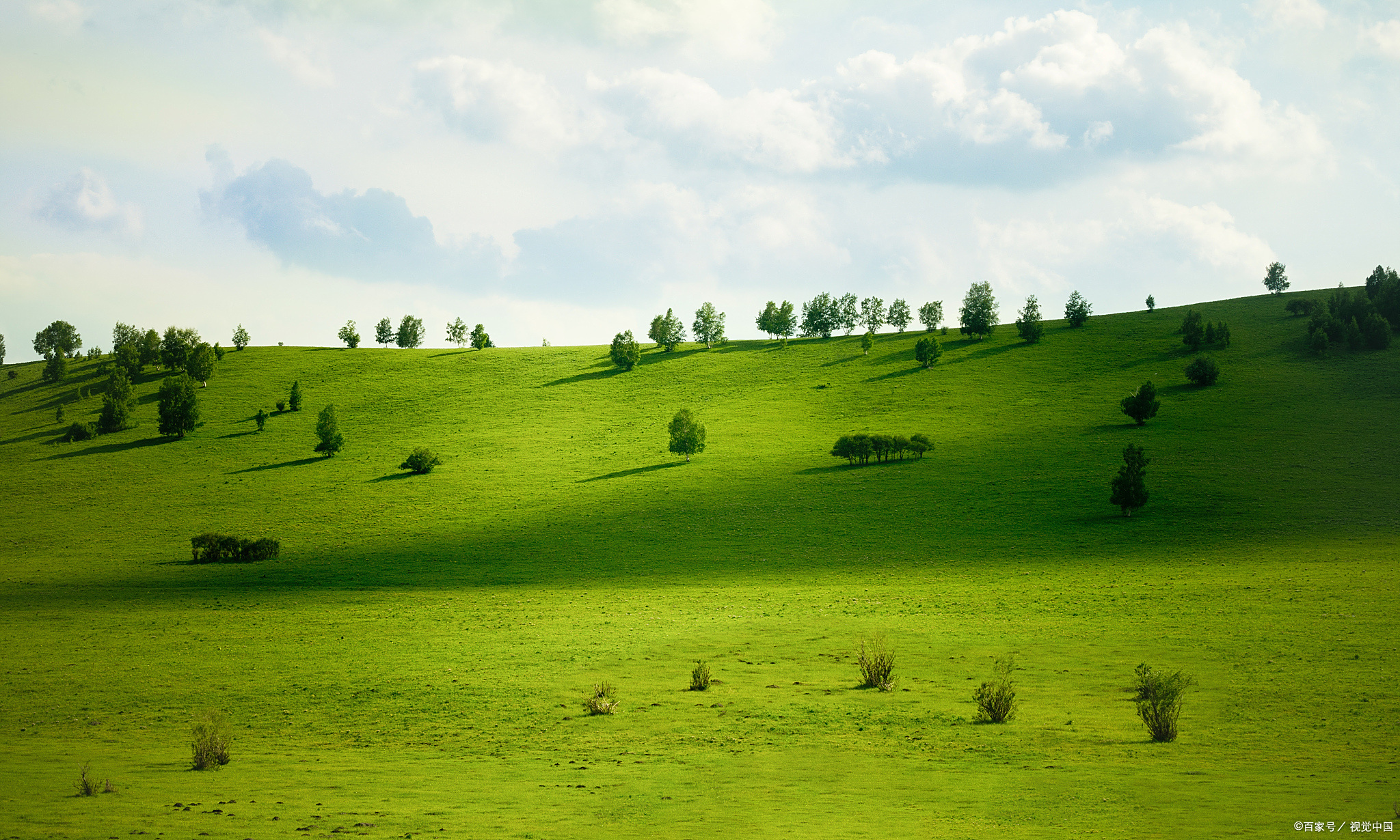 喀拉峻草原的海拔高度在一千三到三千九之间,东西的长度有89公里.