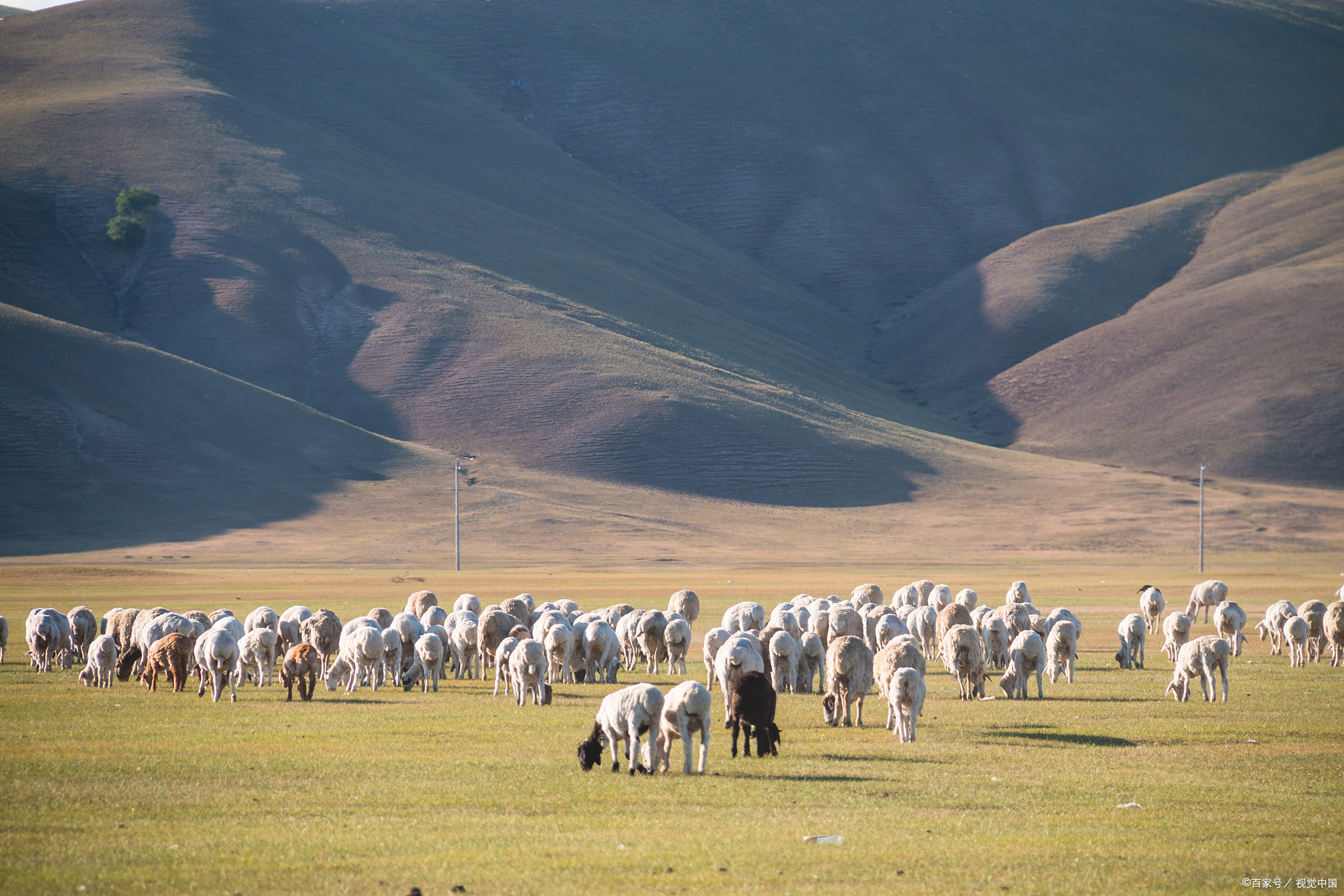 作为我国东西跨度最大的省,内蒙古幅员辽阔,大兴安岭与阴山山脉如同