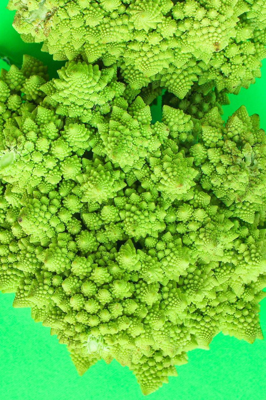 11566 螺旋藻是一种微藻,具有独特的螺旋状形态,属于蓝藻门,裸藻