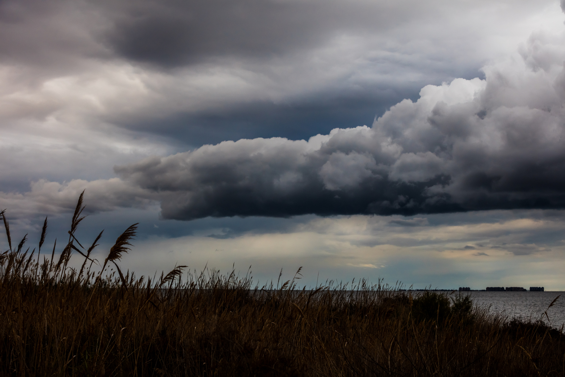 风卷残云,意思是大风吹散残存的浮云;比喻一下子消灭干净.