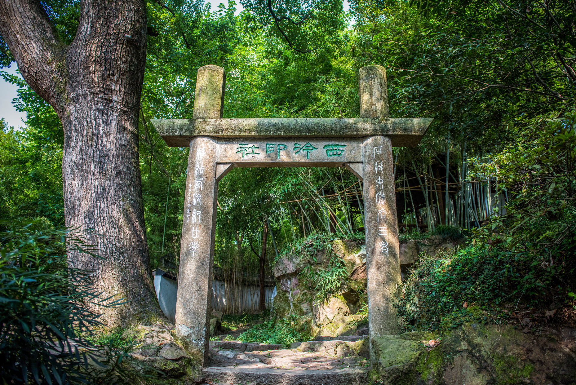 想要畅游杭州?不妨探索西山森林公园!位于西湖区,距市中心仅10公里.