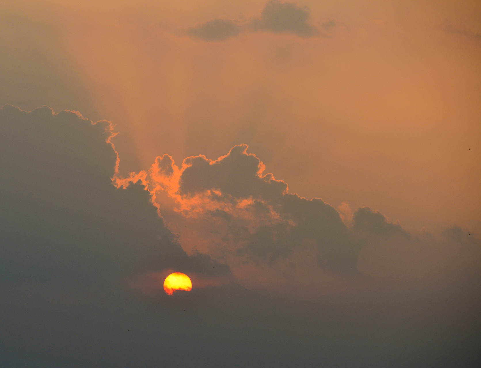 愿你鲜衣怒马,有人陪你看烈焰繁花!