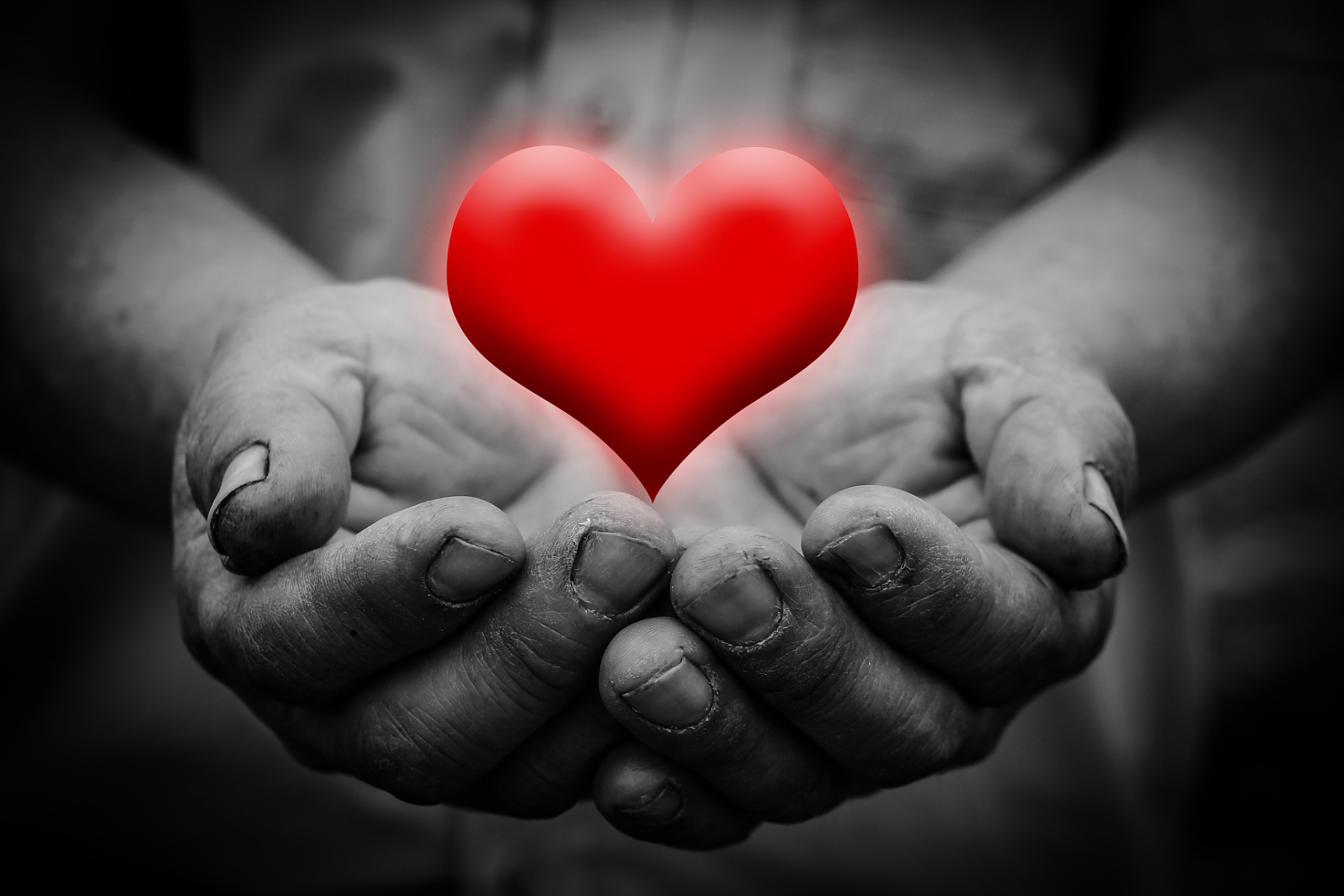 每次看到流浪狗,她都会心疼地把它们带回家