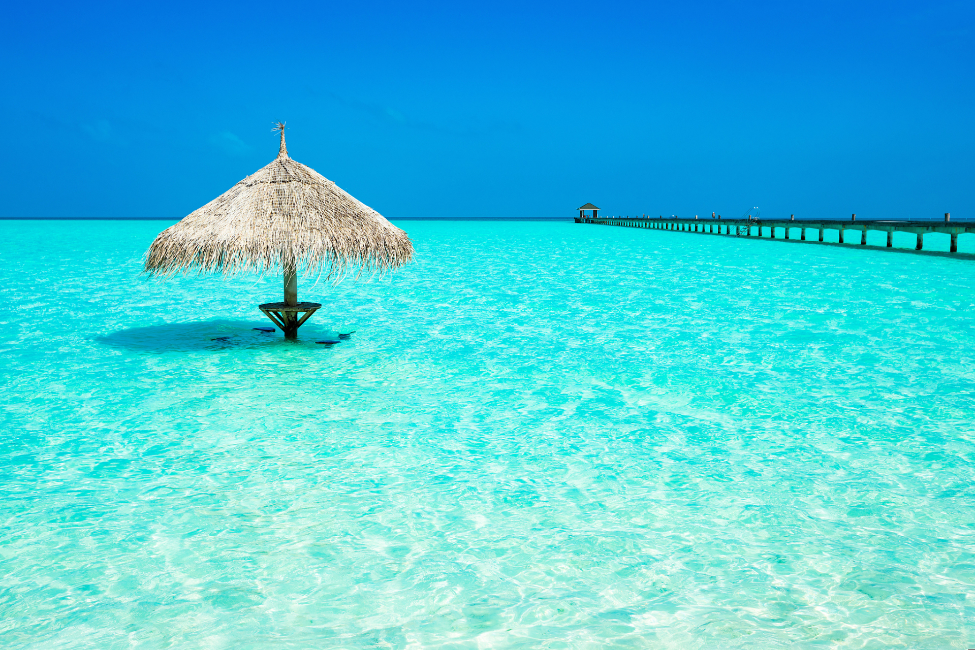 冬日冰雪漫游季# 海龟岛是马尔代夫岛屿,大约离马列国际机场146公里