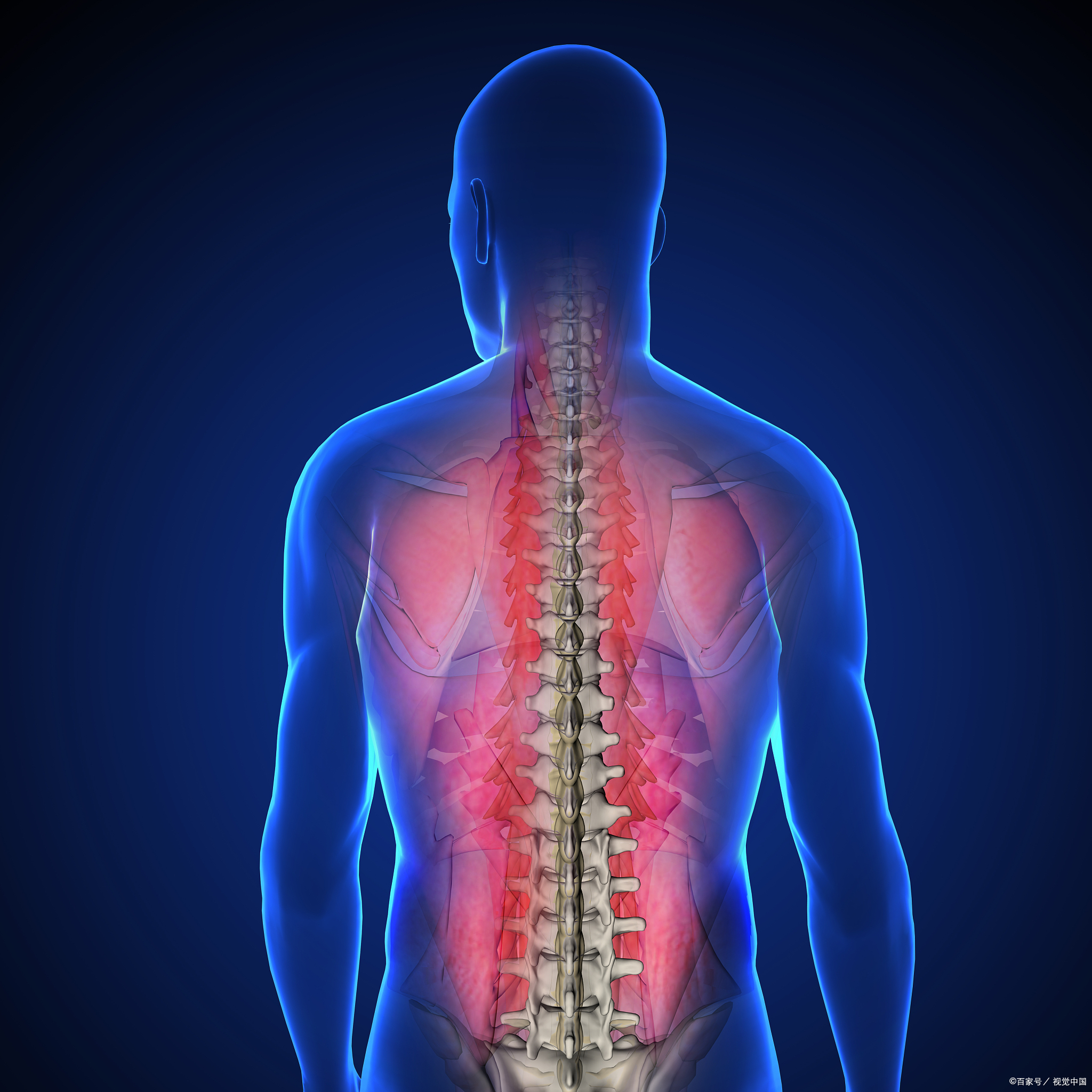 腰椎疼痛,可能是久坐不动的上班族,或是经常弯腰做家务的主妇的常见