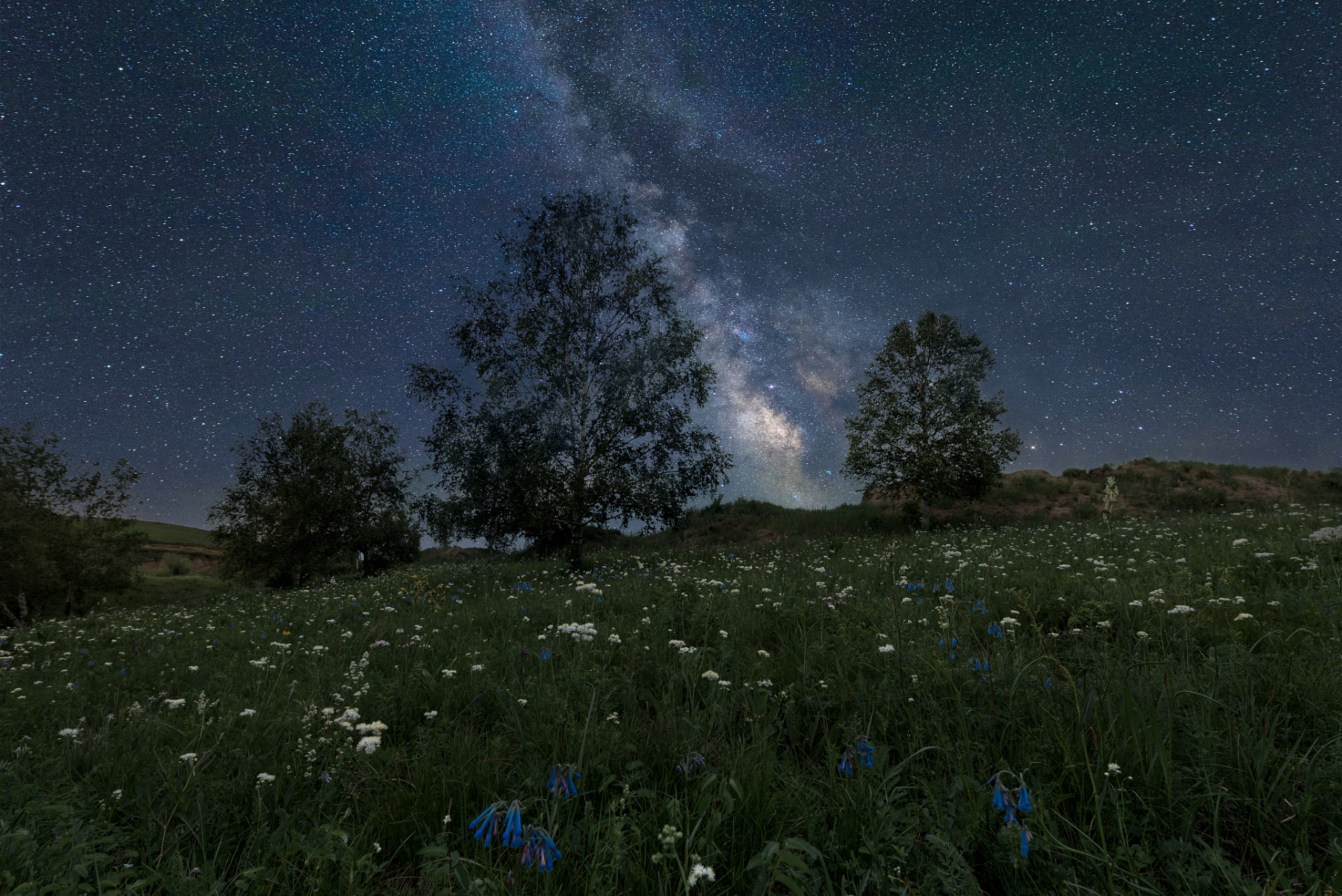 草地星空图片图片