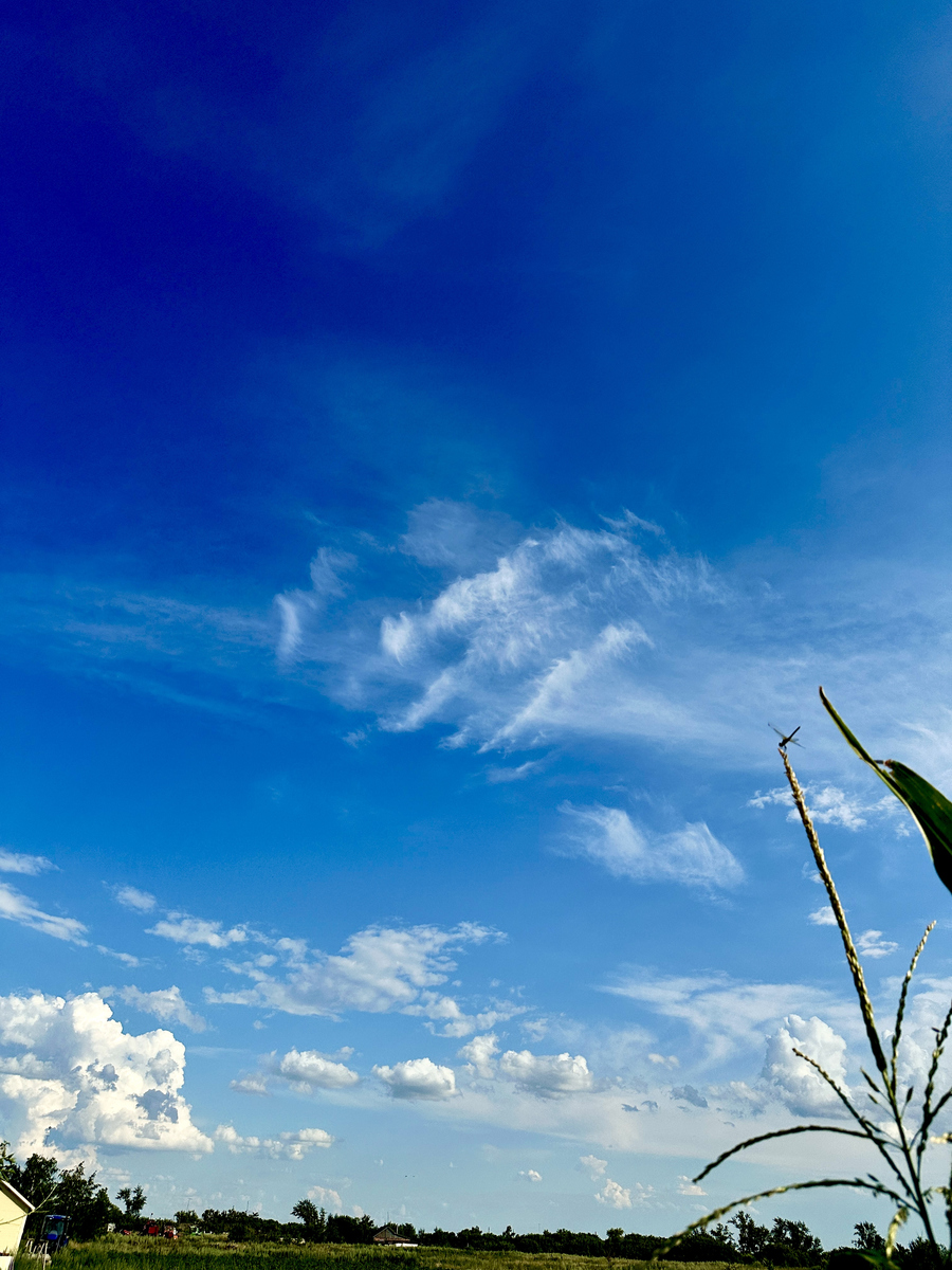天晴心情豁然开朗图片
